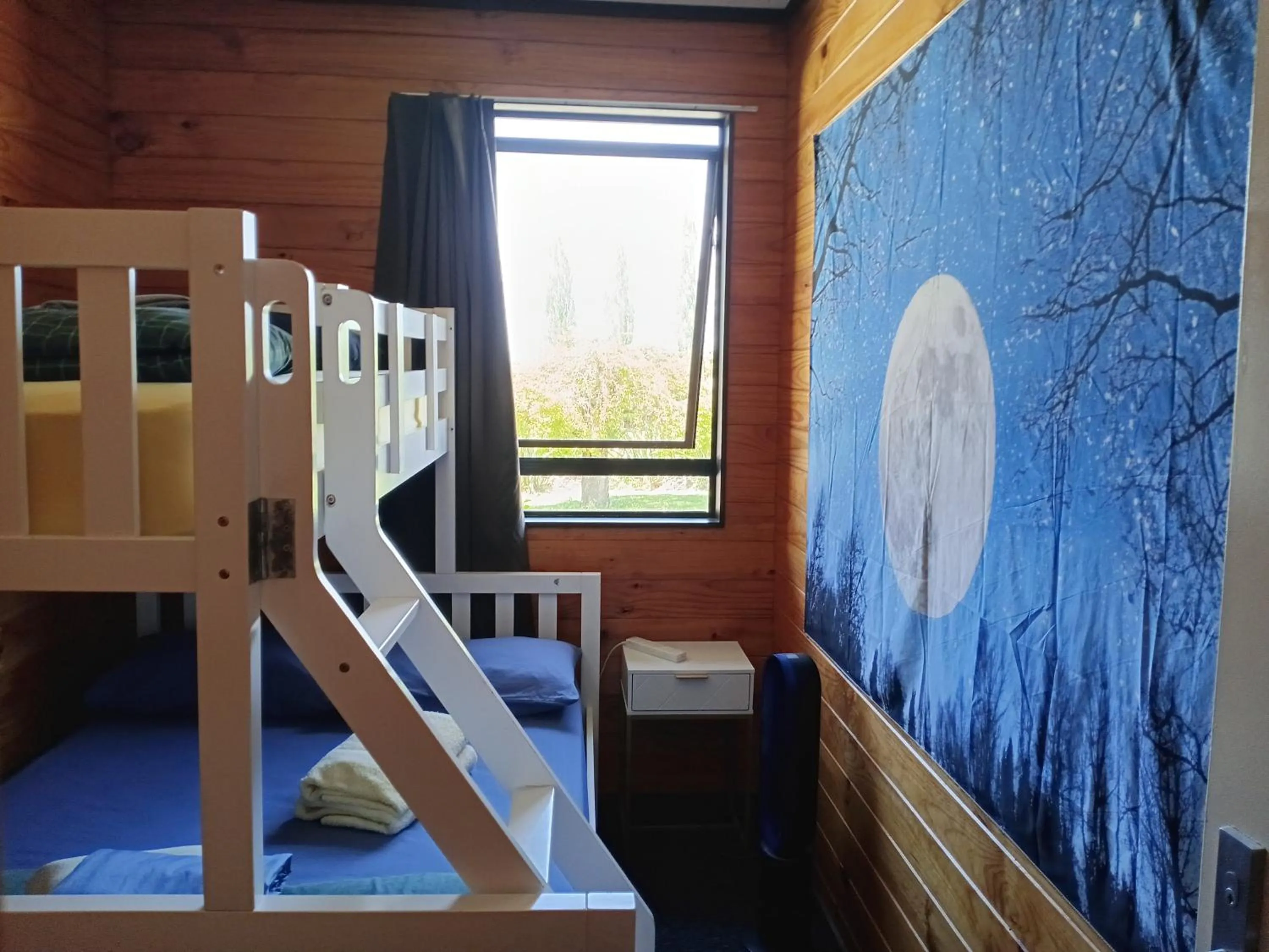 Photo of the whole room, Bed in JunoHall Backpackers