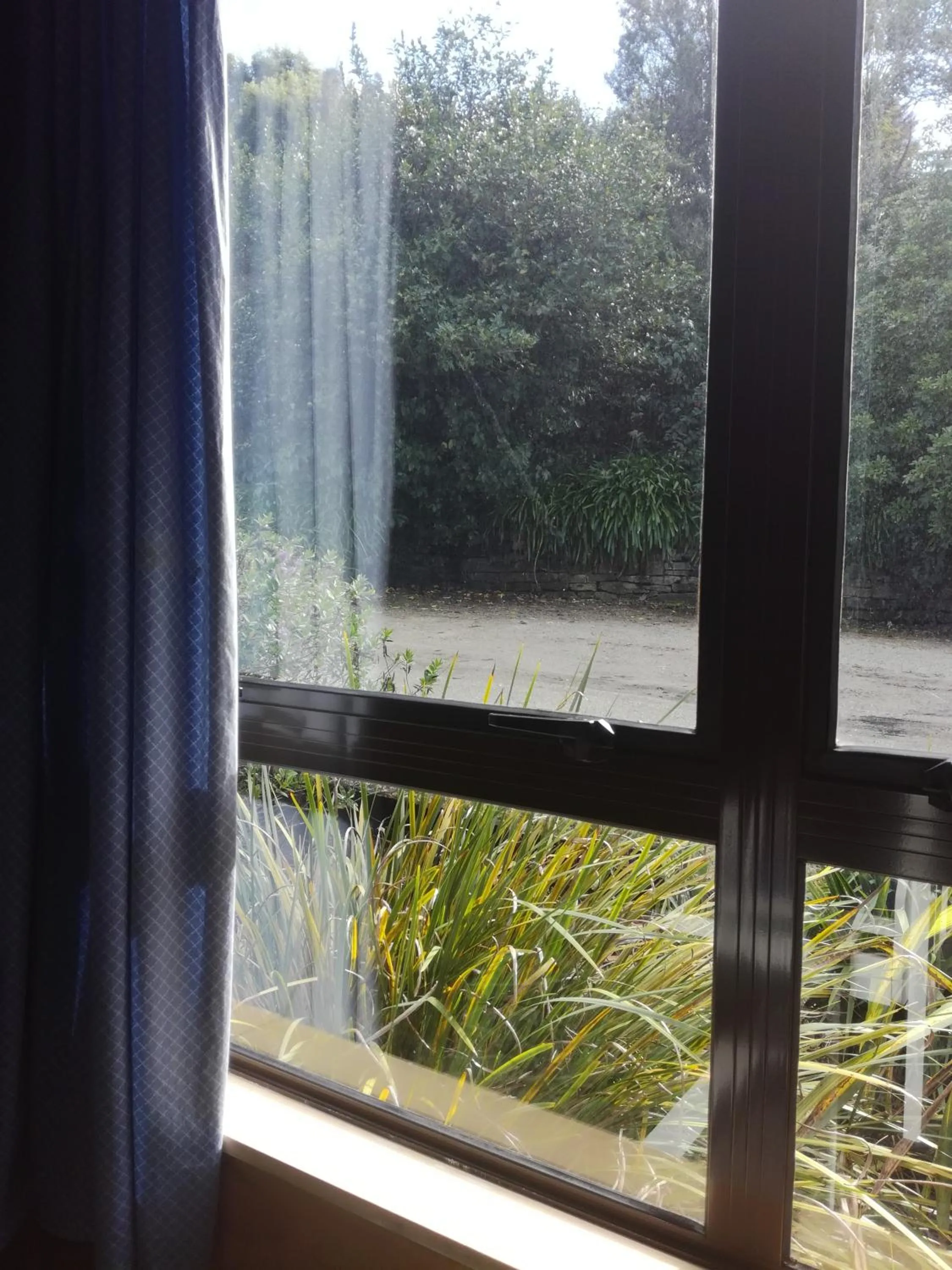 Garden view in JunoHall Backpackers