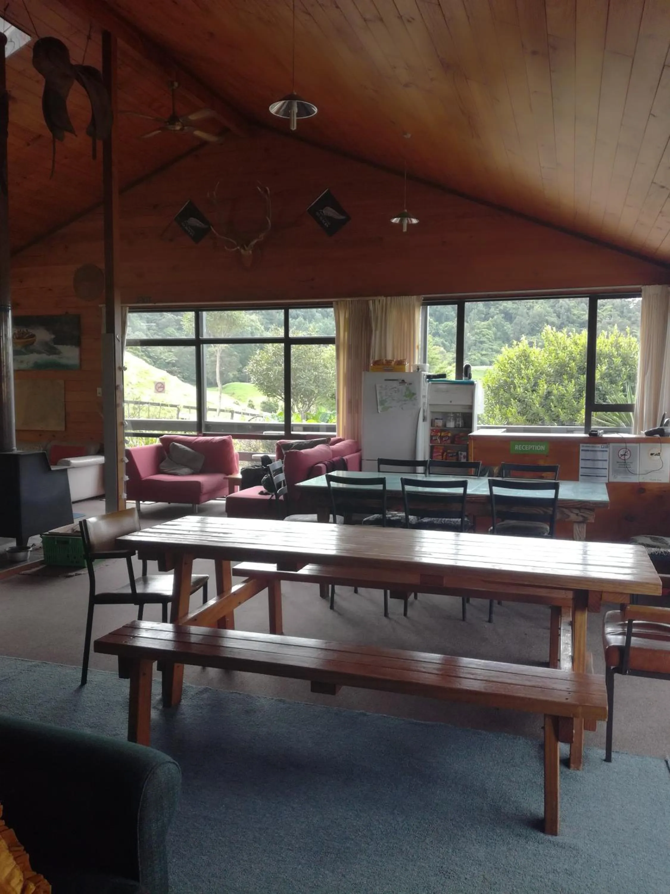 Dining area in JunoHall Backpackers
