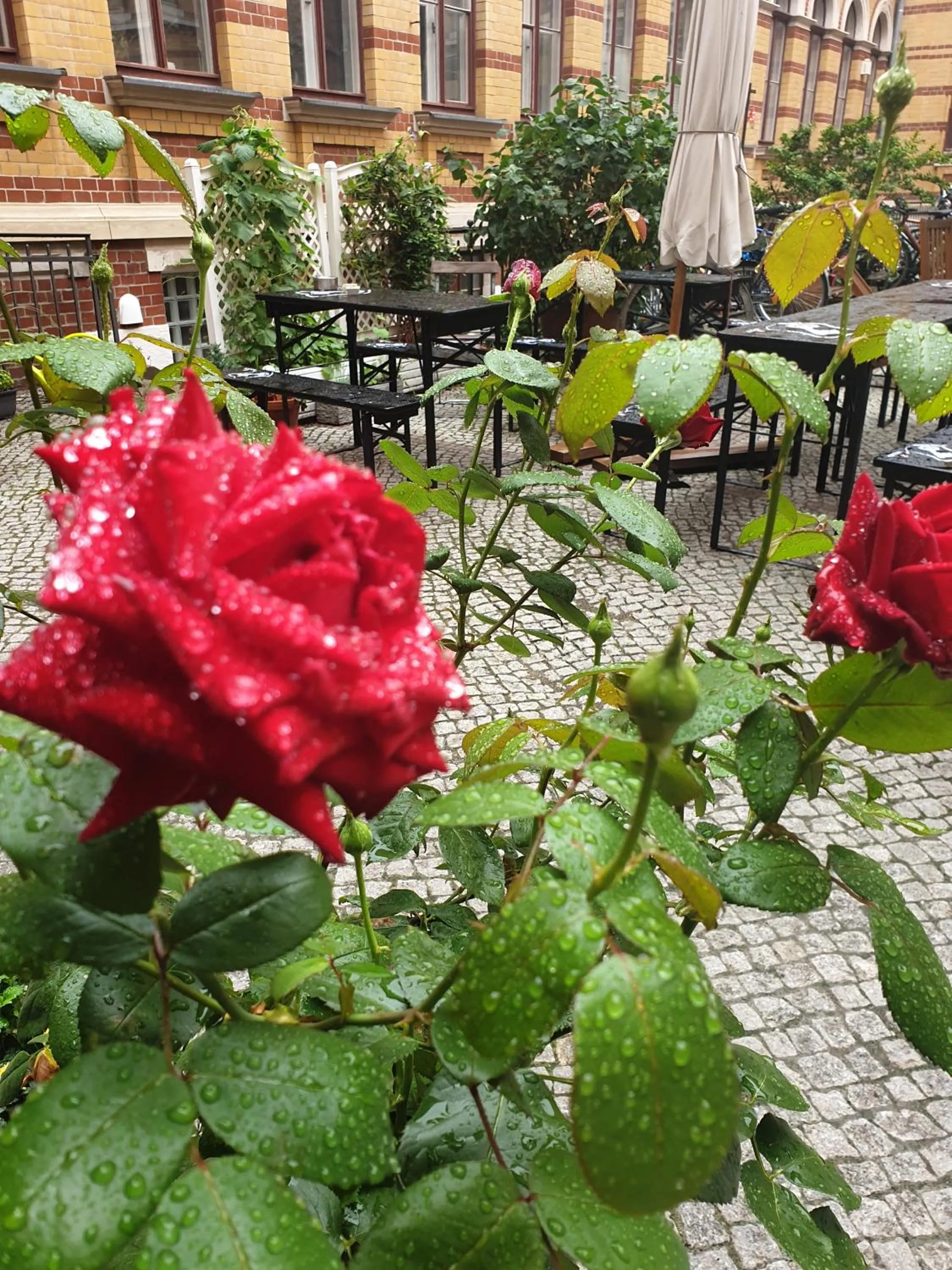 Patio in Gwuni Mopera