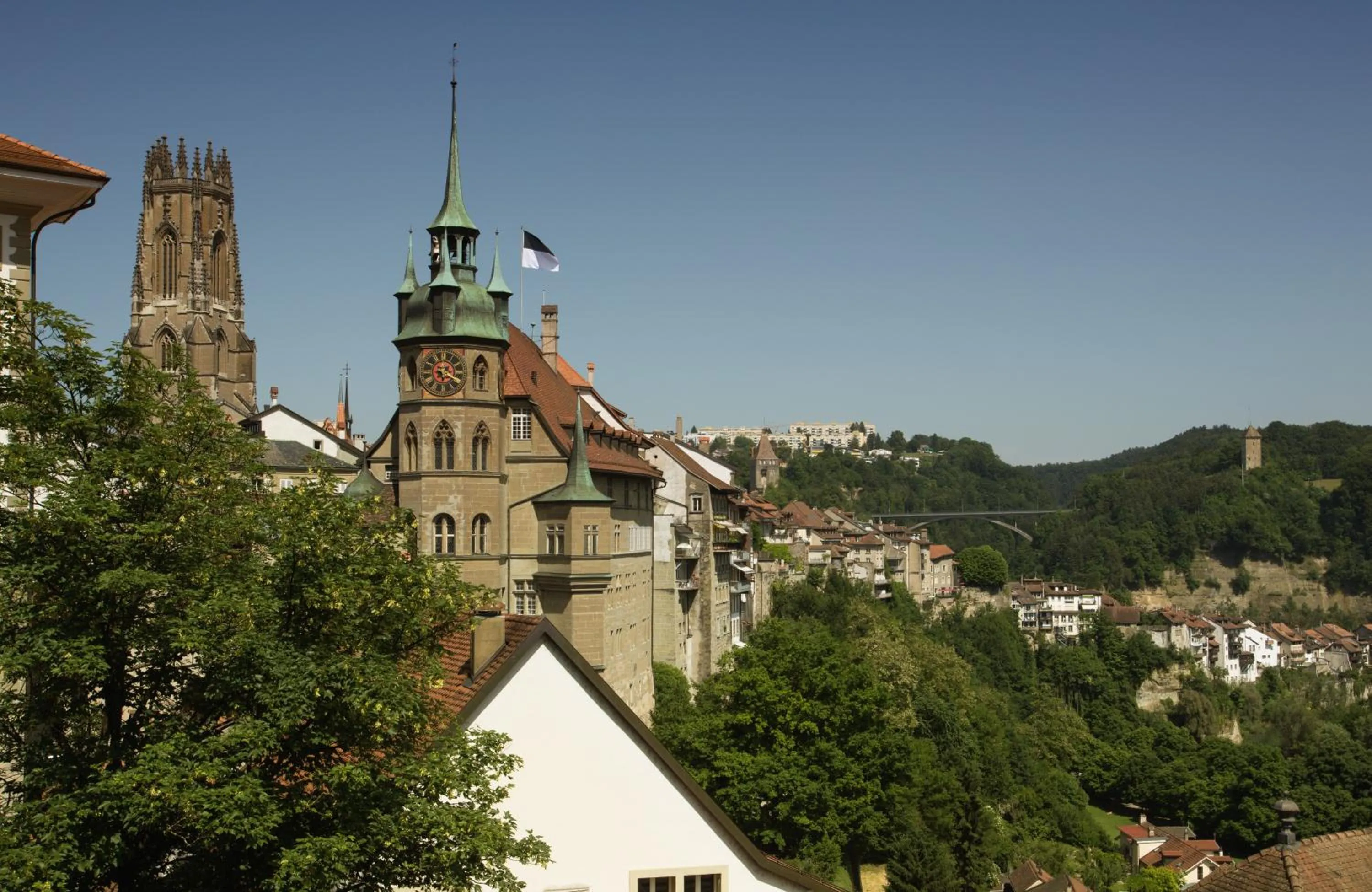 Area and facilities in Hotel Alpha