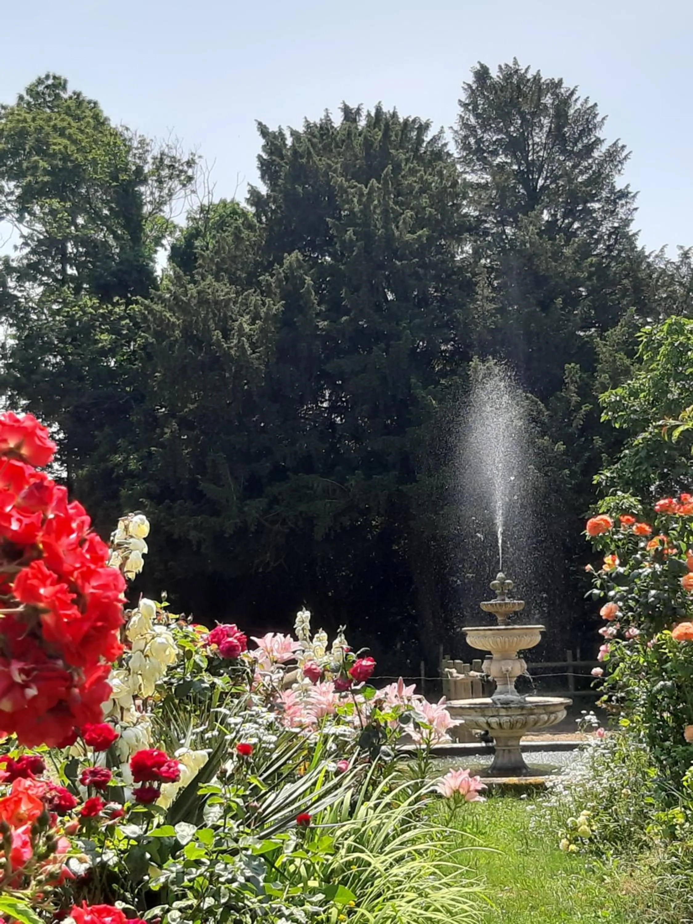 Garden view in Manoir de la Peignie