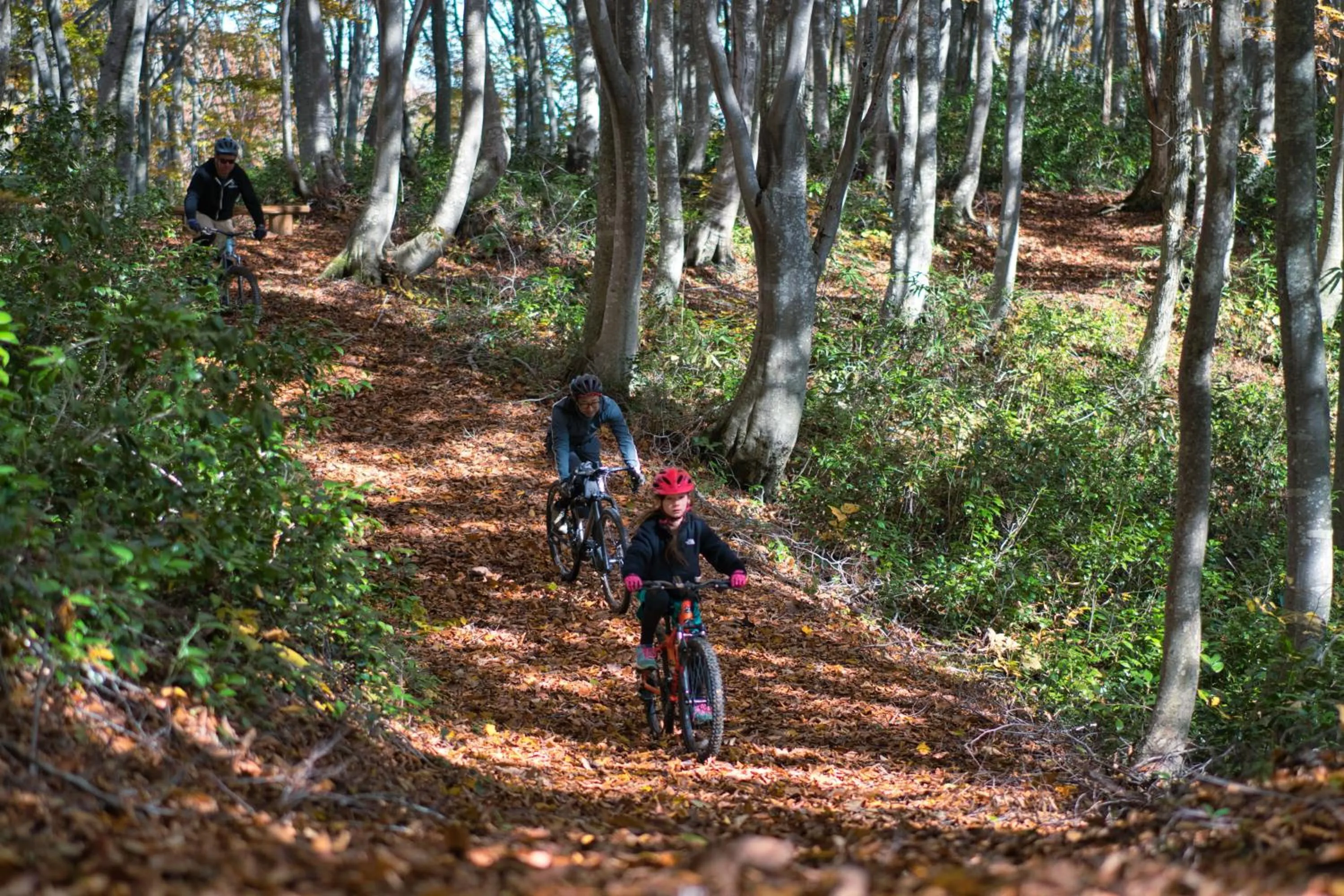 Activities in Madarao Mountain Lodge