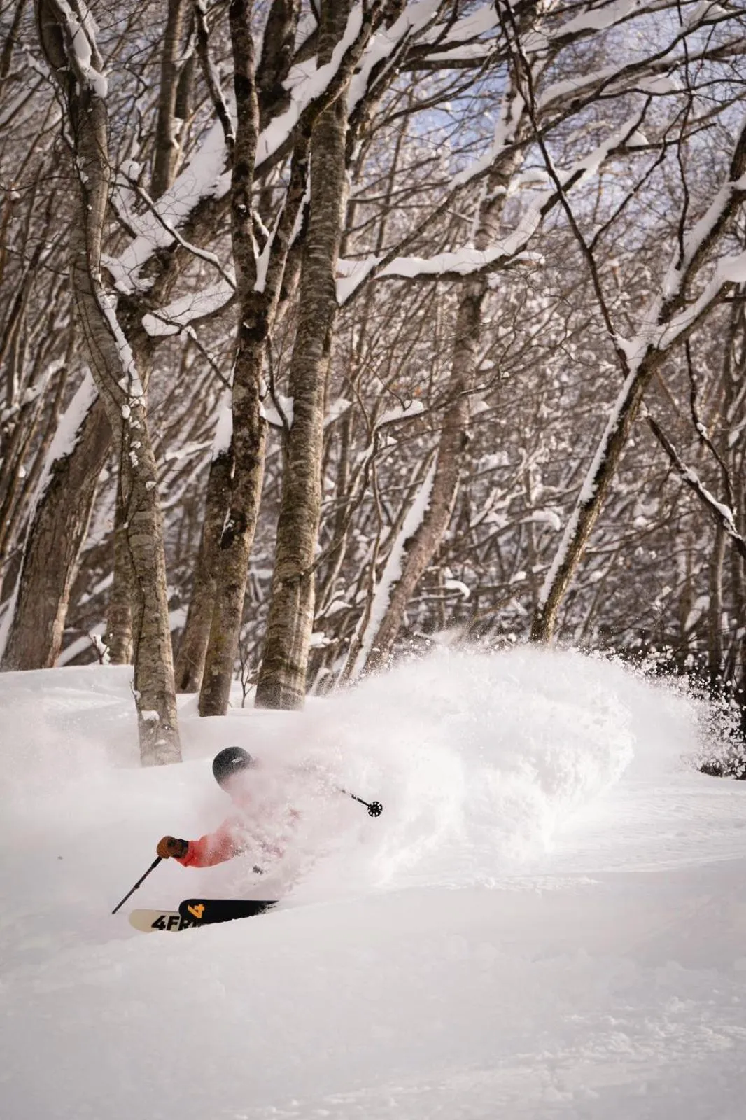 Skiing in Madarao Mountain Lodge