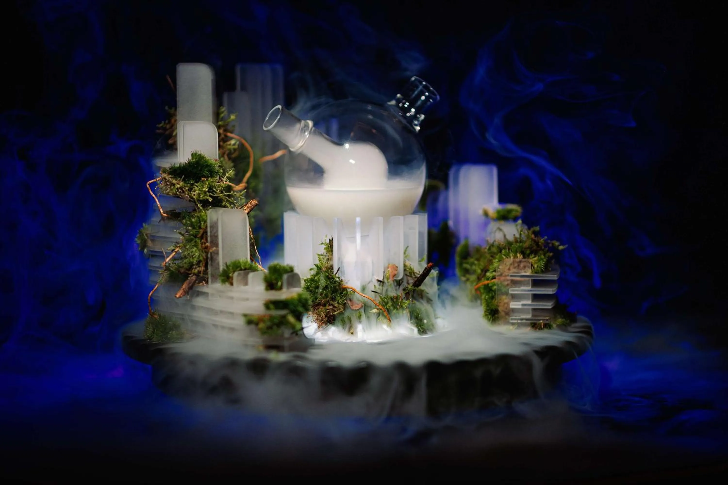 Food and drinks in Radisson Blu Carlton Hotel, Bratislava