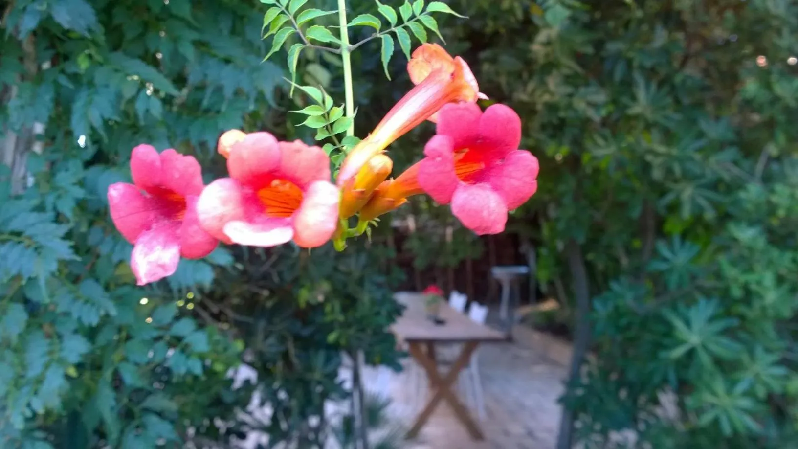 Decorative detail in BUBA BnB SUPERIOR