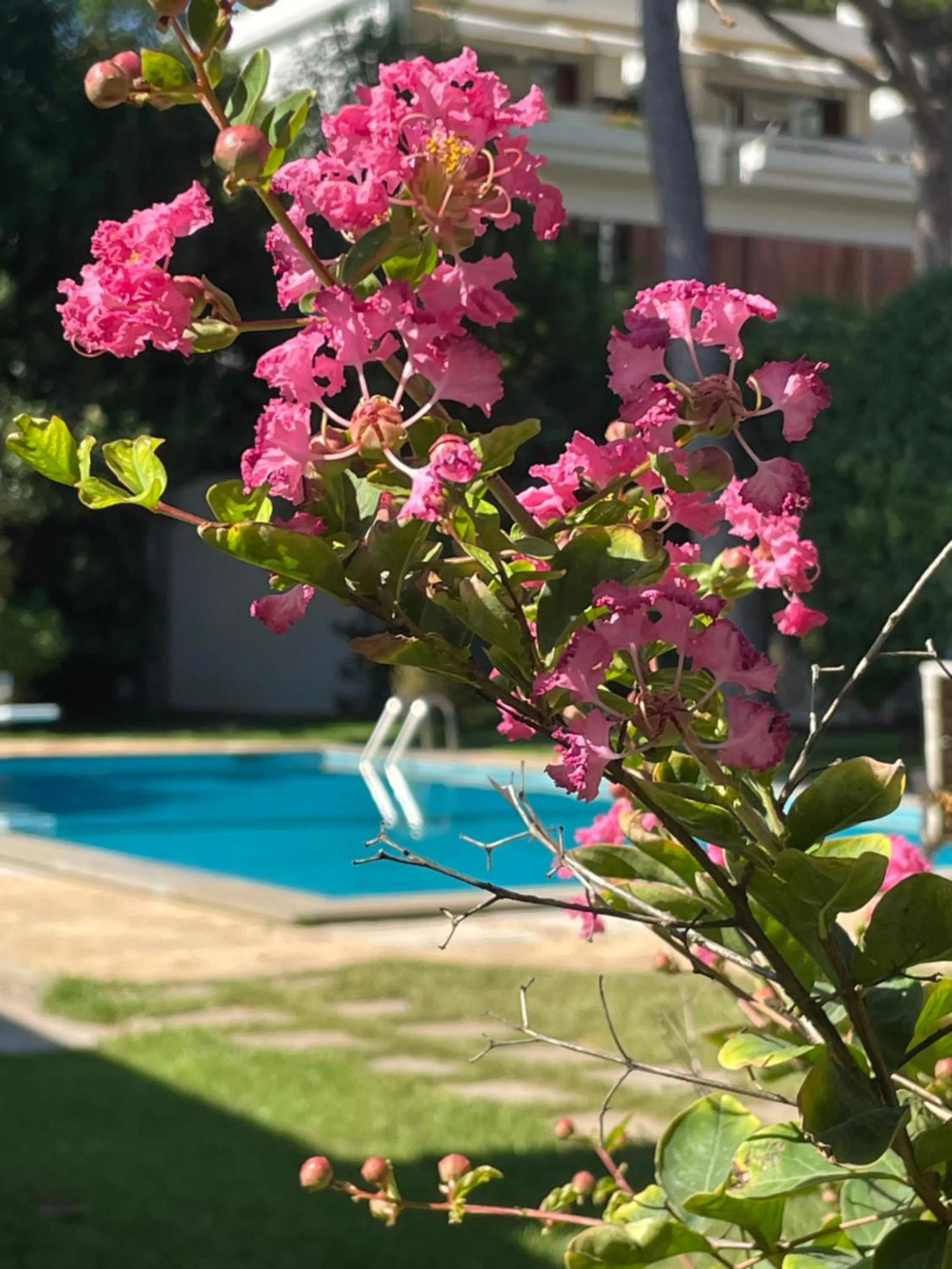 Pool view in BUBA BnB SUPERIOR