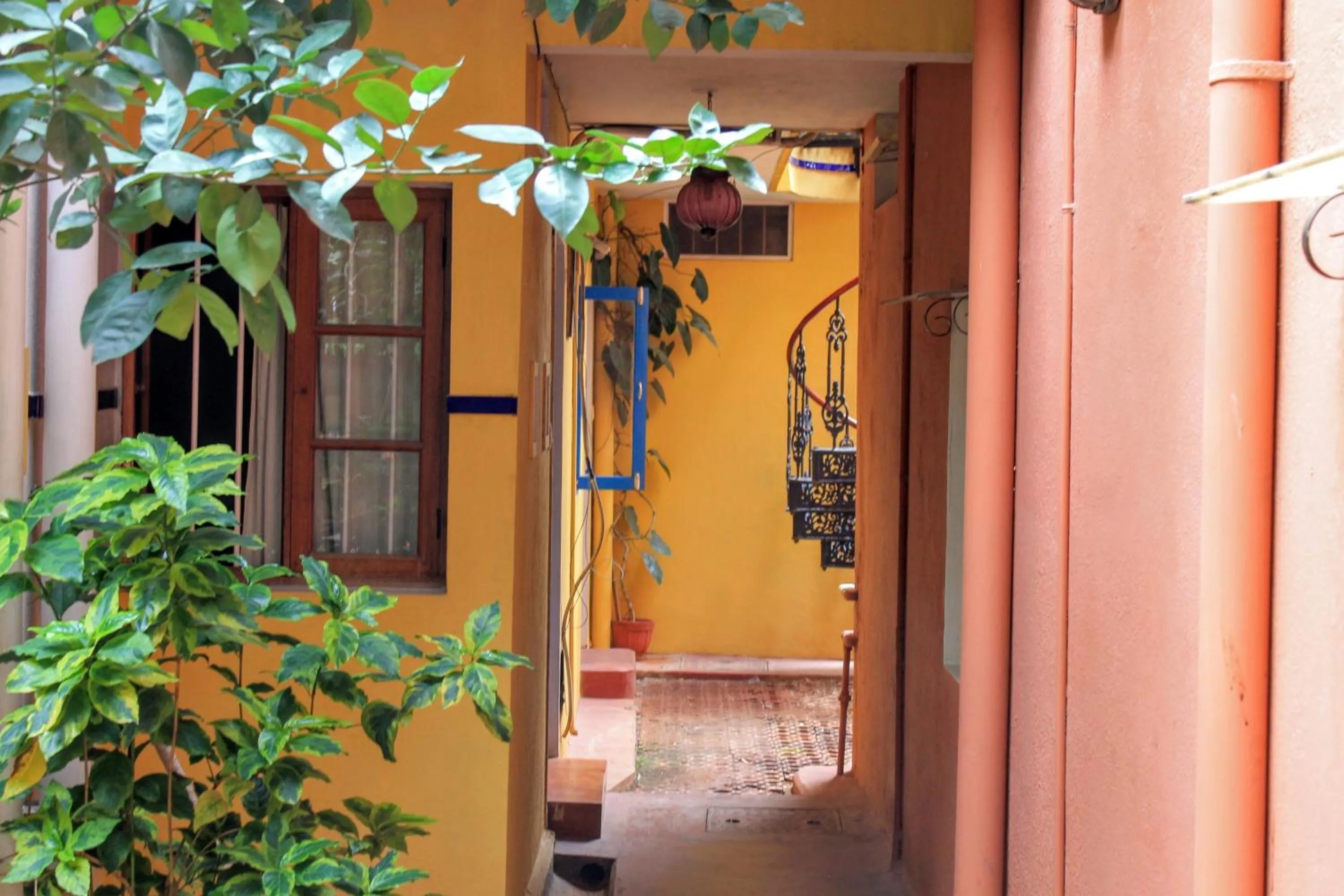 Patio in Casa Cottage