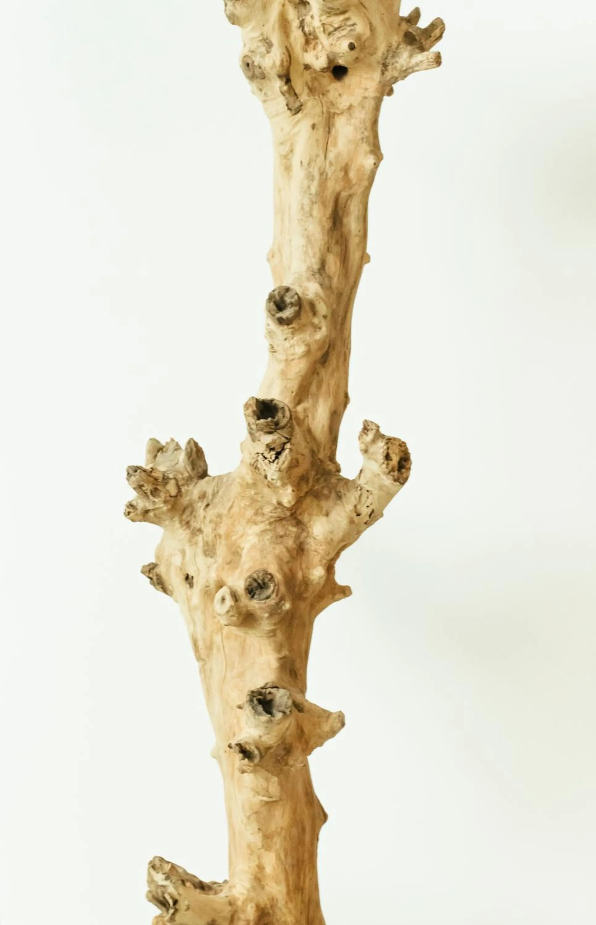 Natural landscape in Astro Palace Hotel & Suites