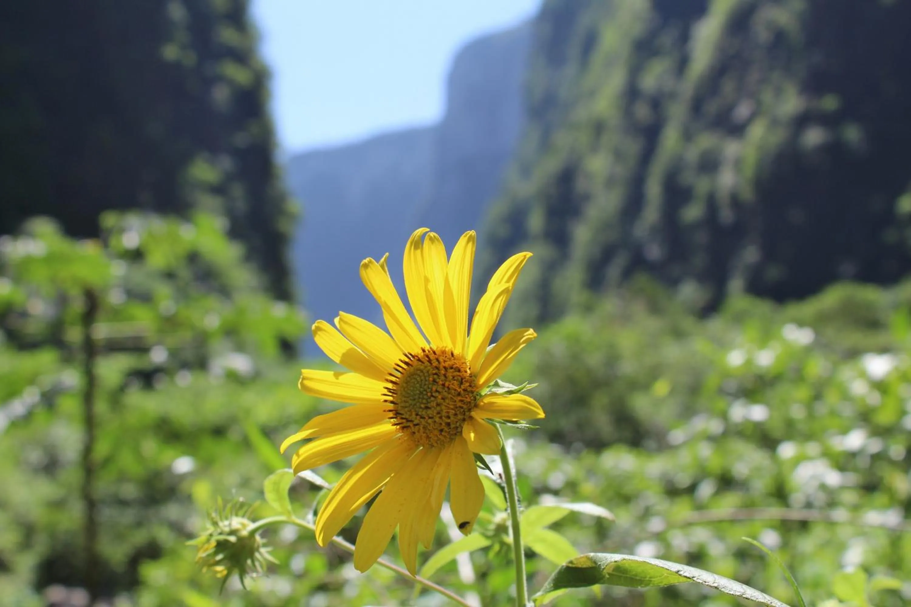 Hiking in Pousada & Camping Nativos dos Canyons