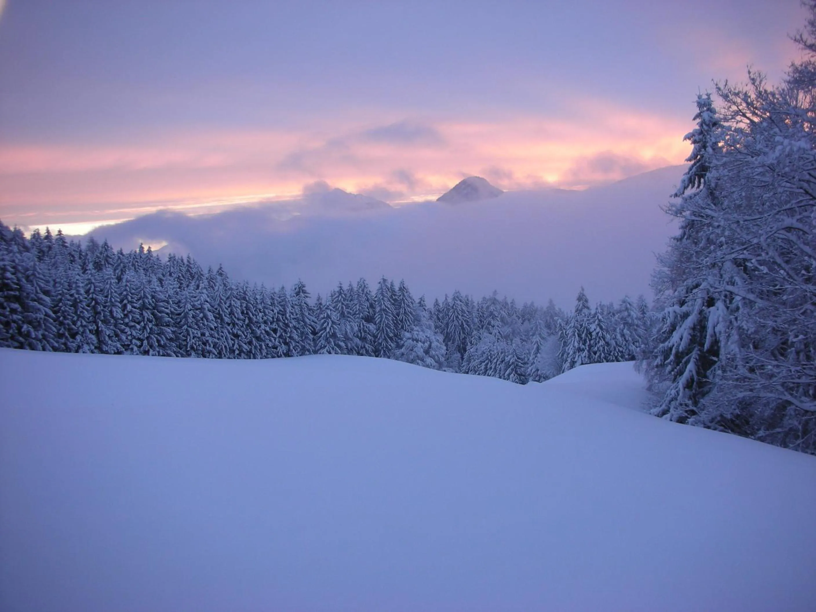 Natural landscape in Stangleggerhof