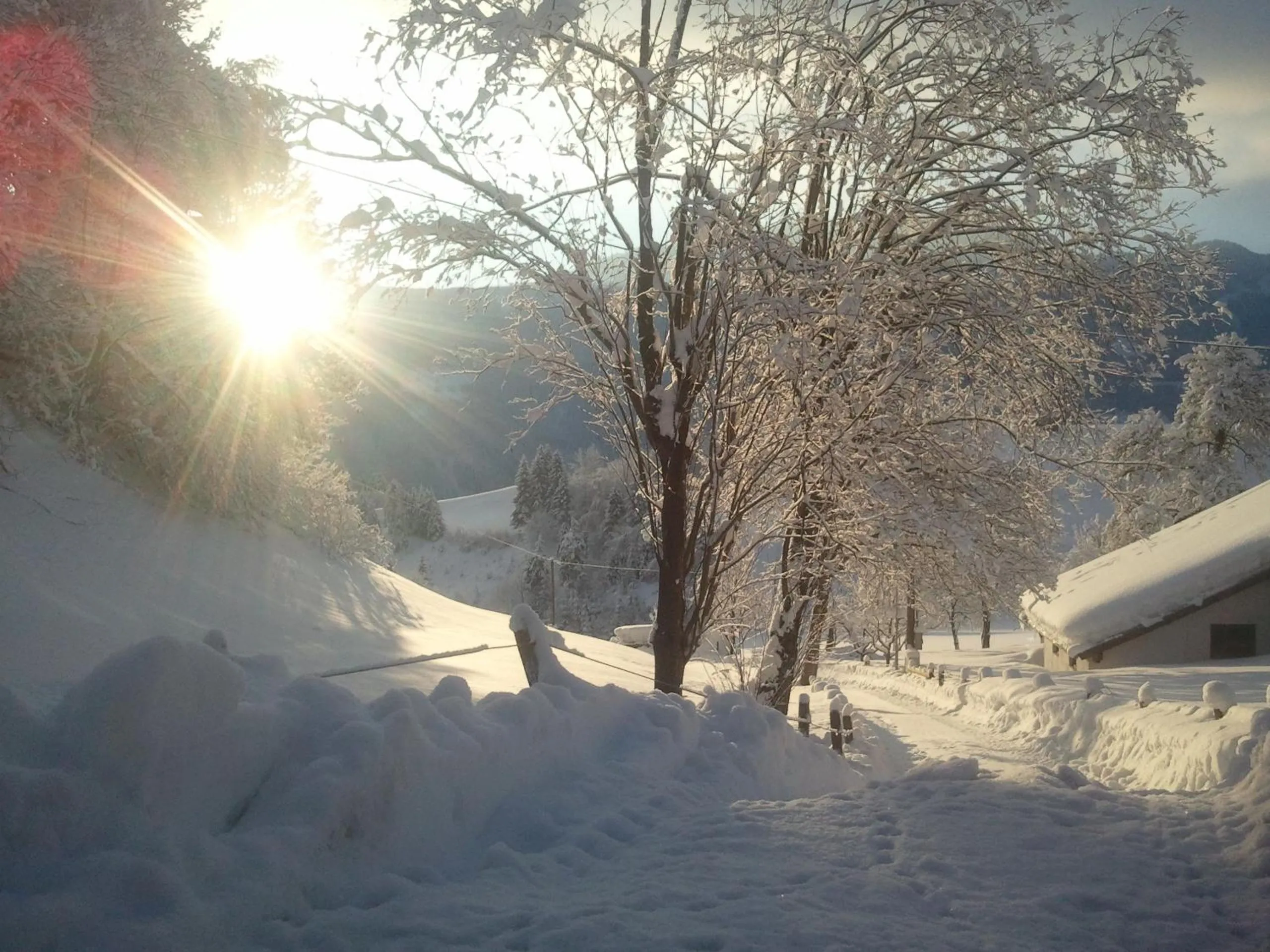 Natural landscape in Stangleggerhof