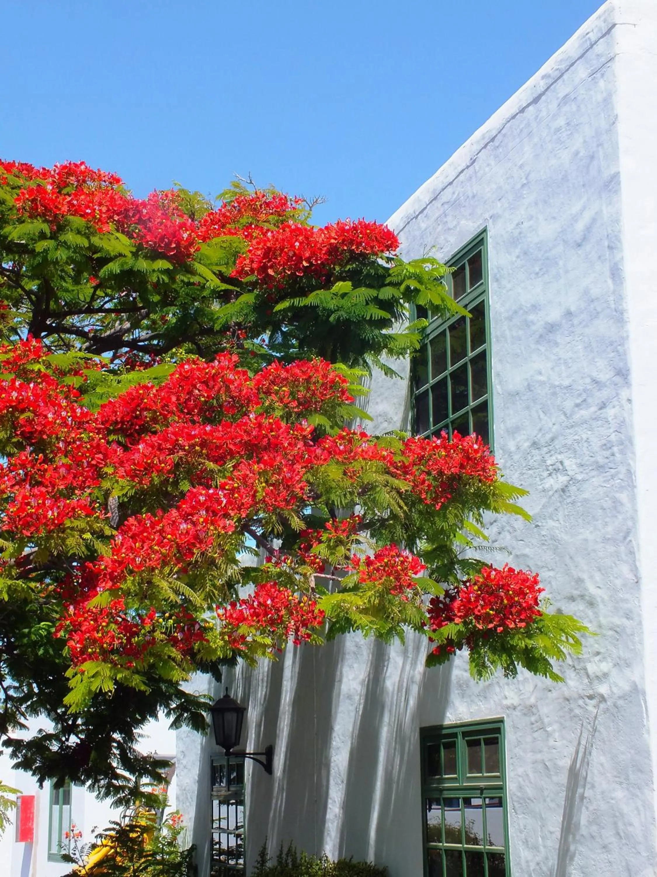 Property building in Casas Heddy, Well-being Resort