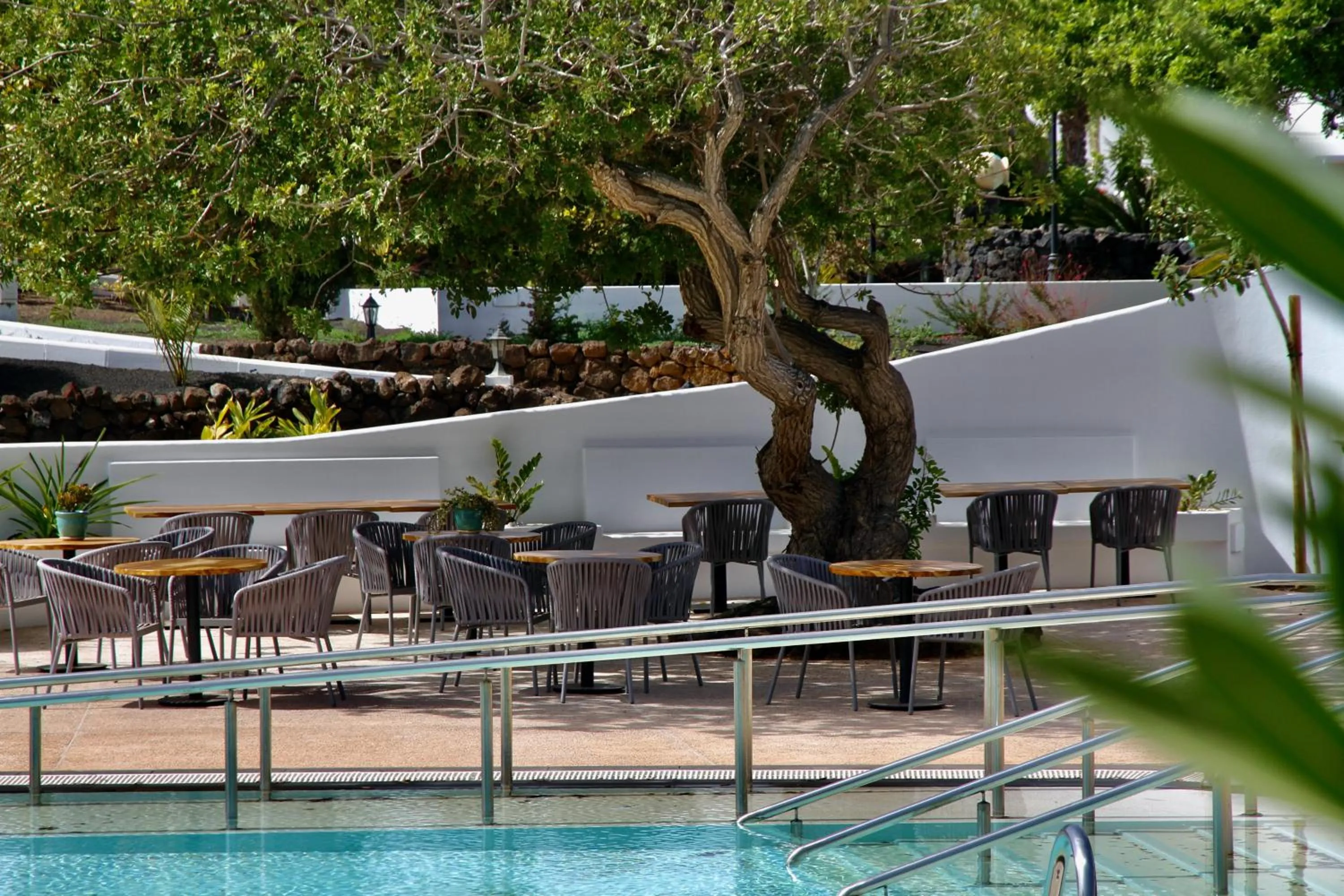 Restaurant/places to eat in Casas Heddy, Well-being Resort