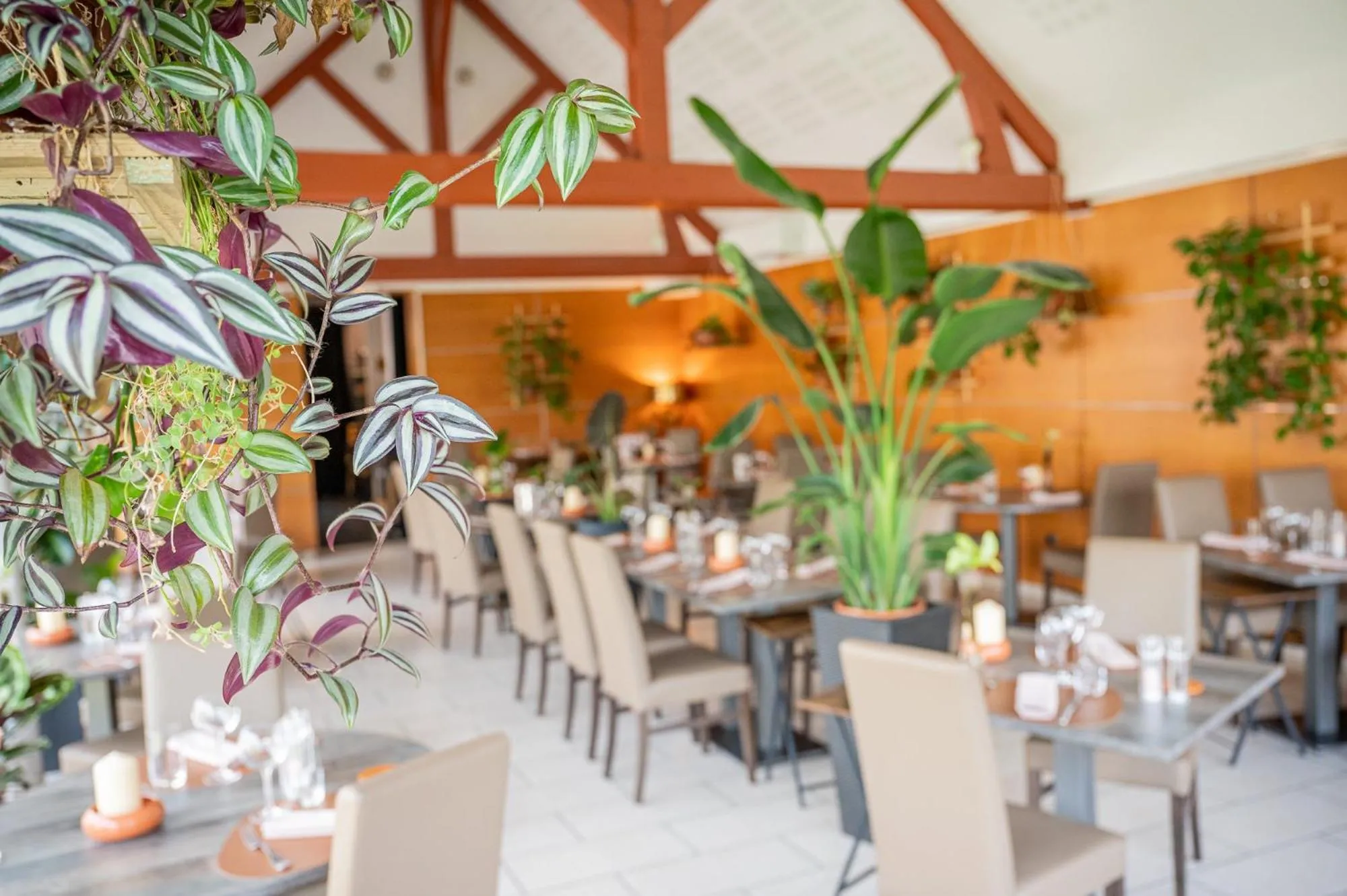 Restaurant/places to eat in Logis Hostellerie la Chaumière