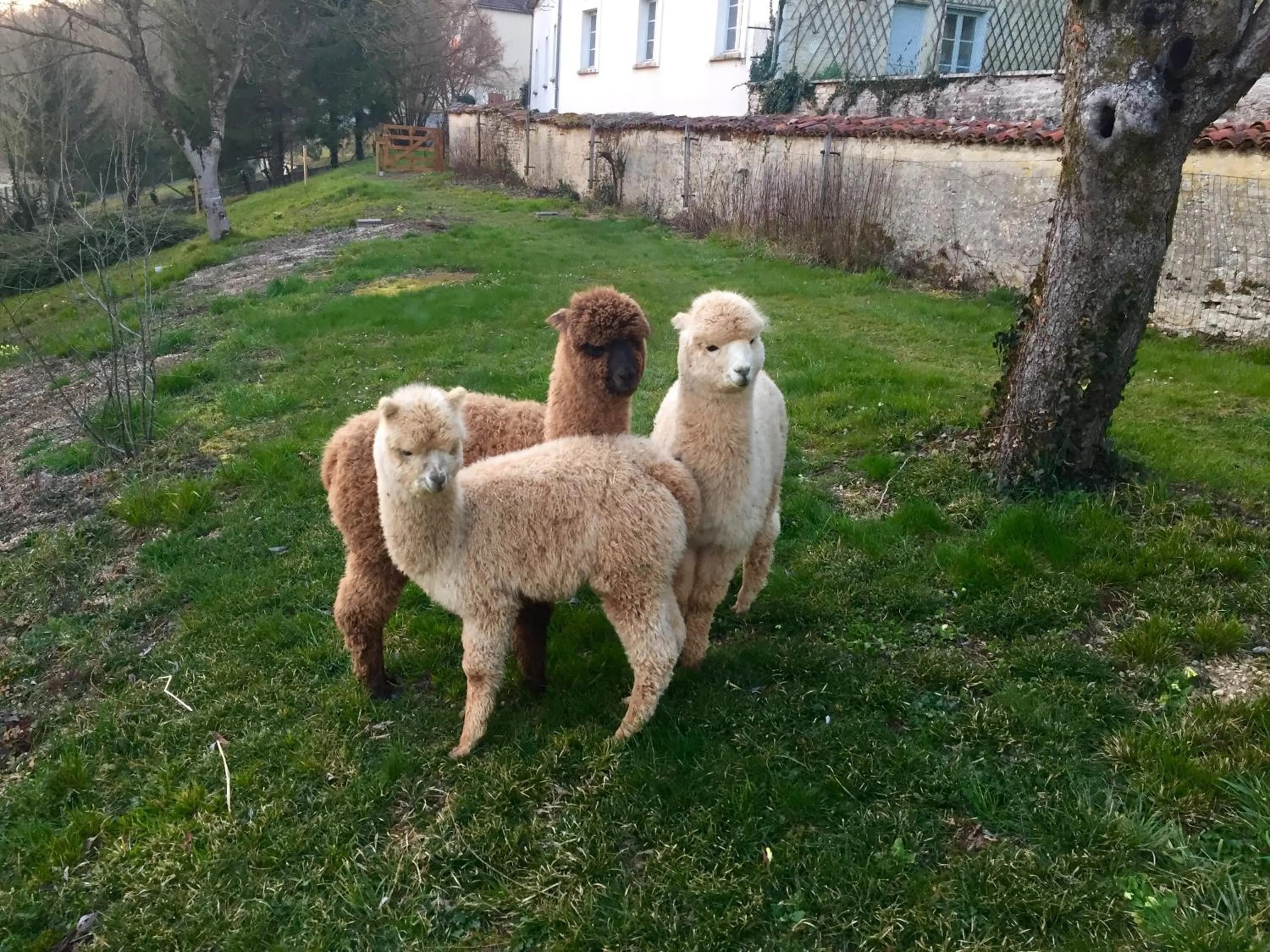 Other in Logis Hostellerie la Chaumière