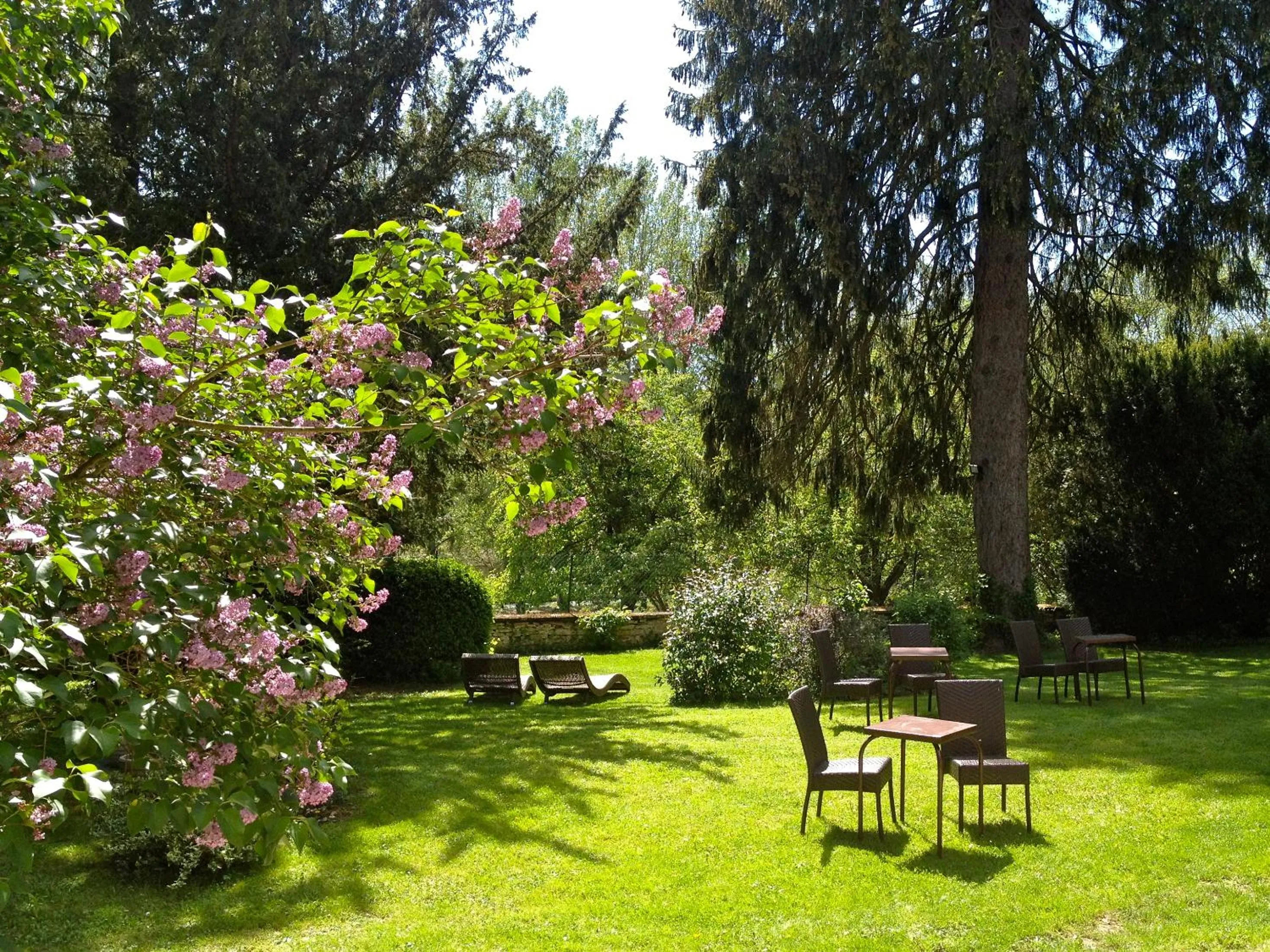 Garden in Logis Hostellerie la Chaumière