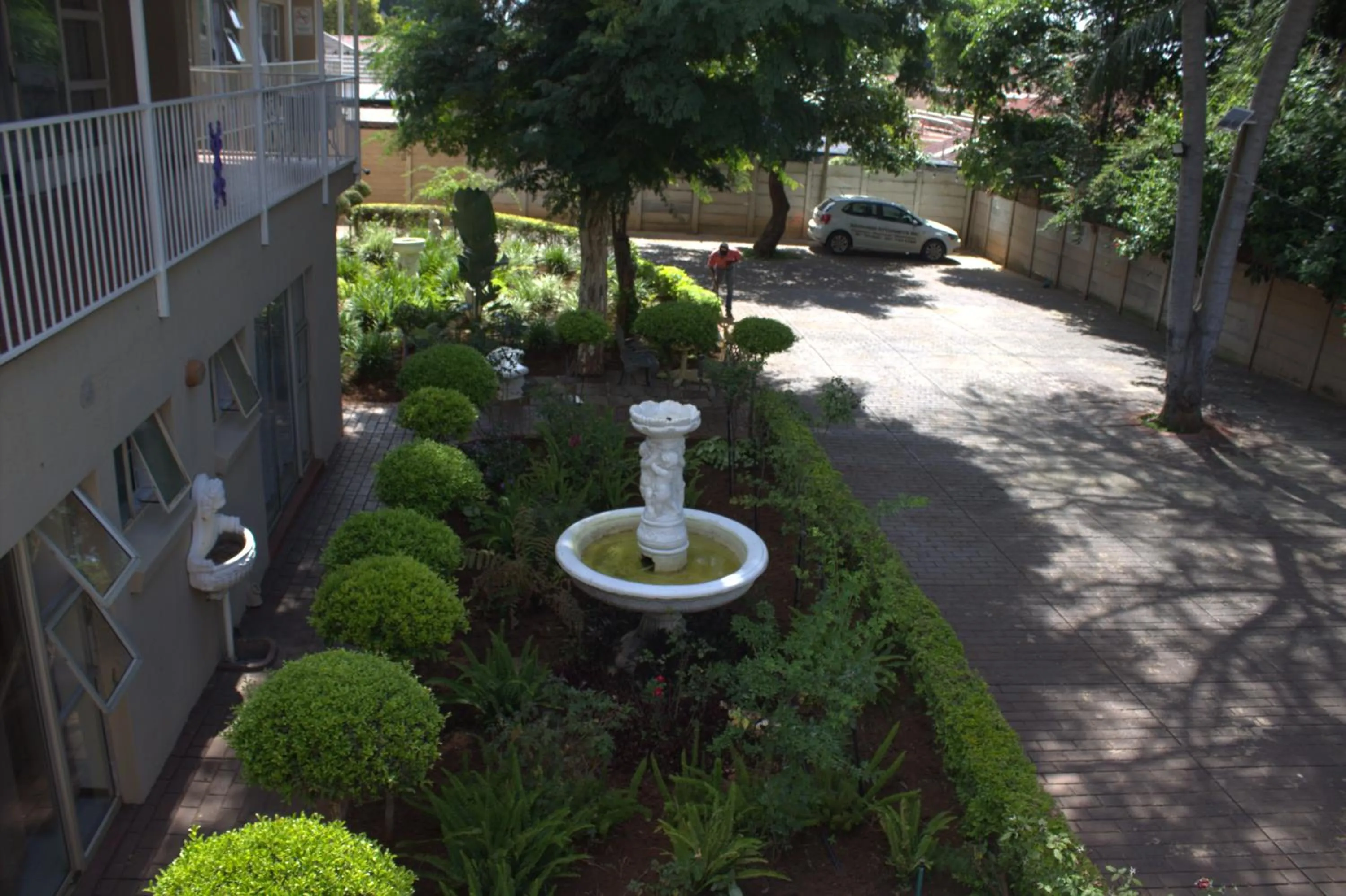 Garden view in Purple Olive Guest House
