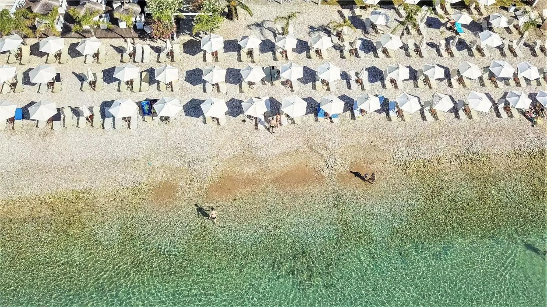 Beach in Corfu Aqua Nisaki