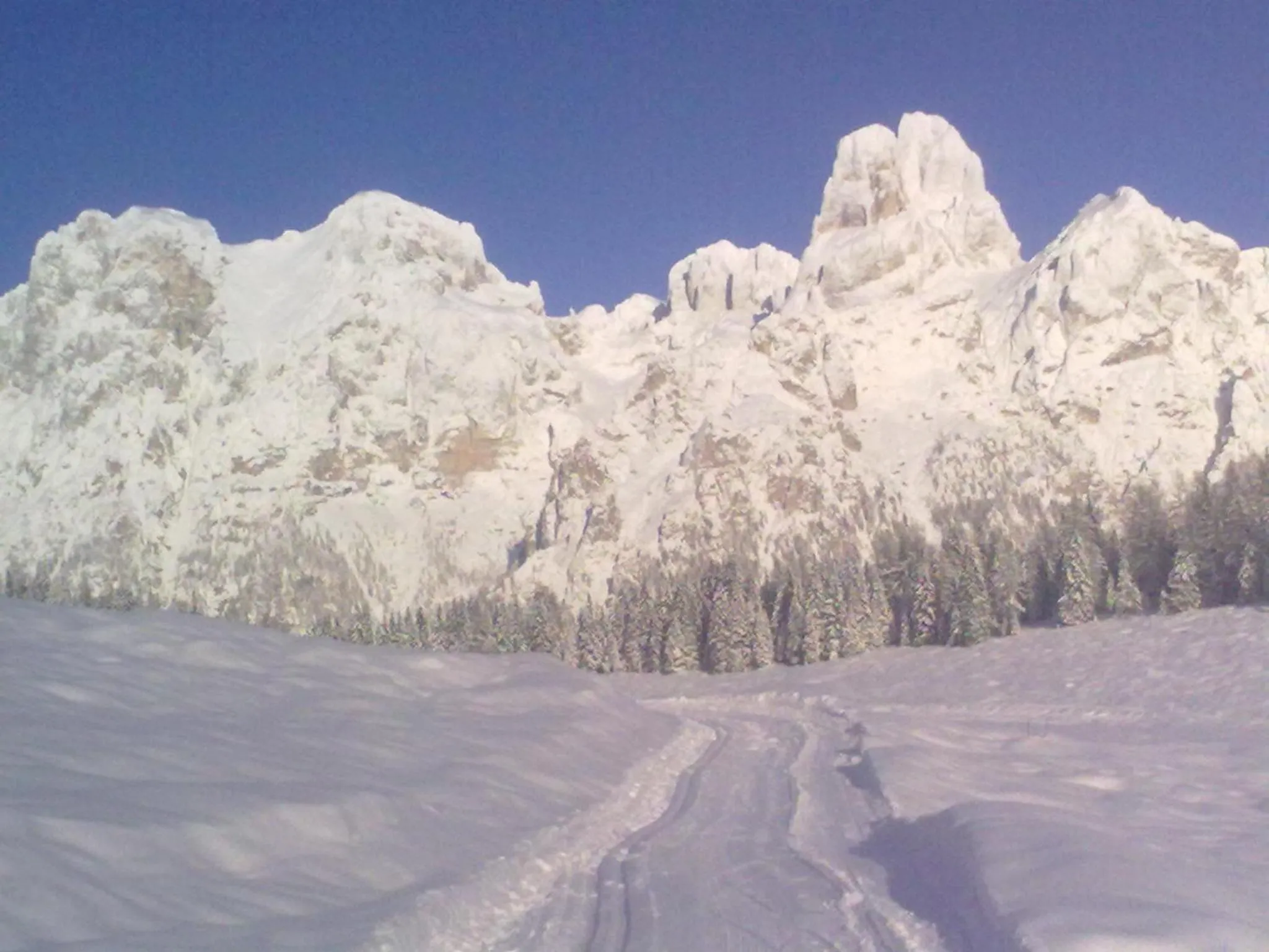 Area and facilities in Hotel Serenella