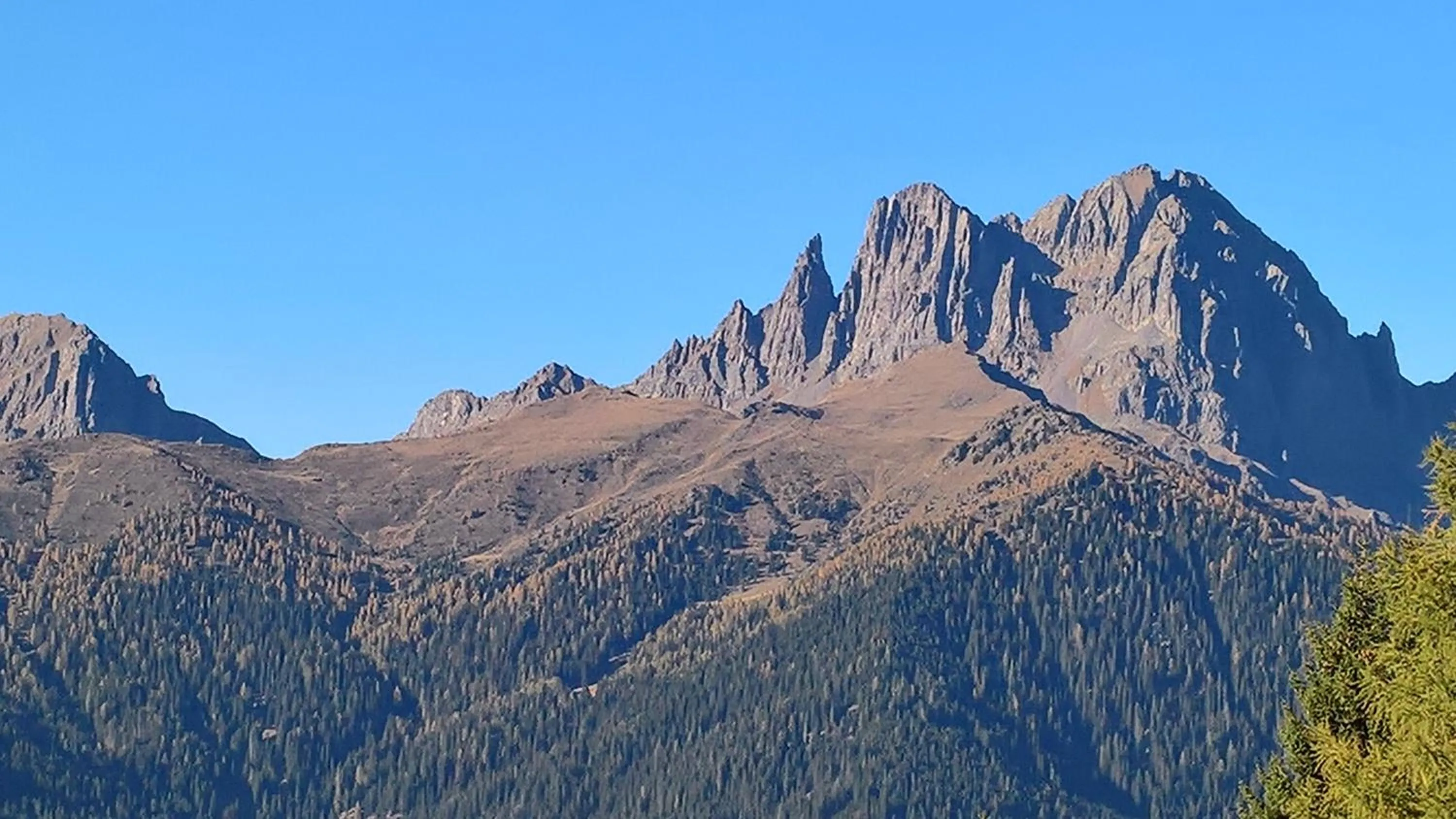 Summer in Hotel Serenella