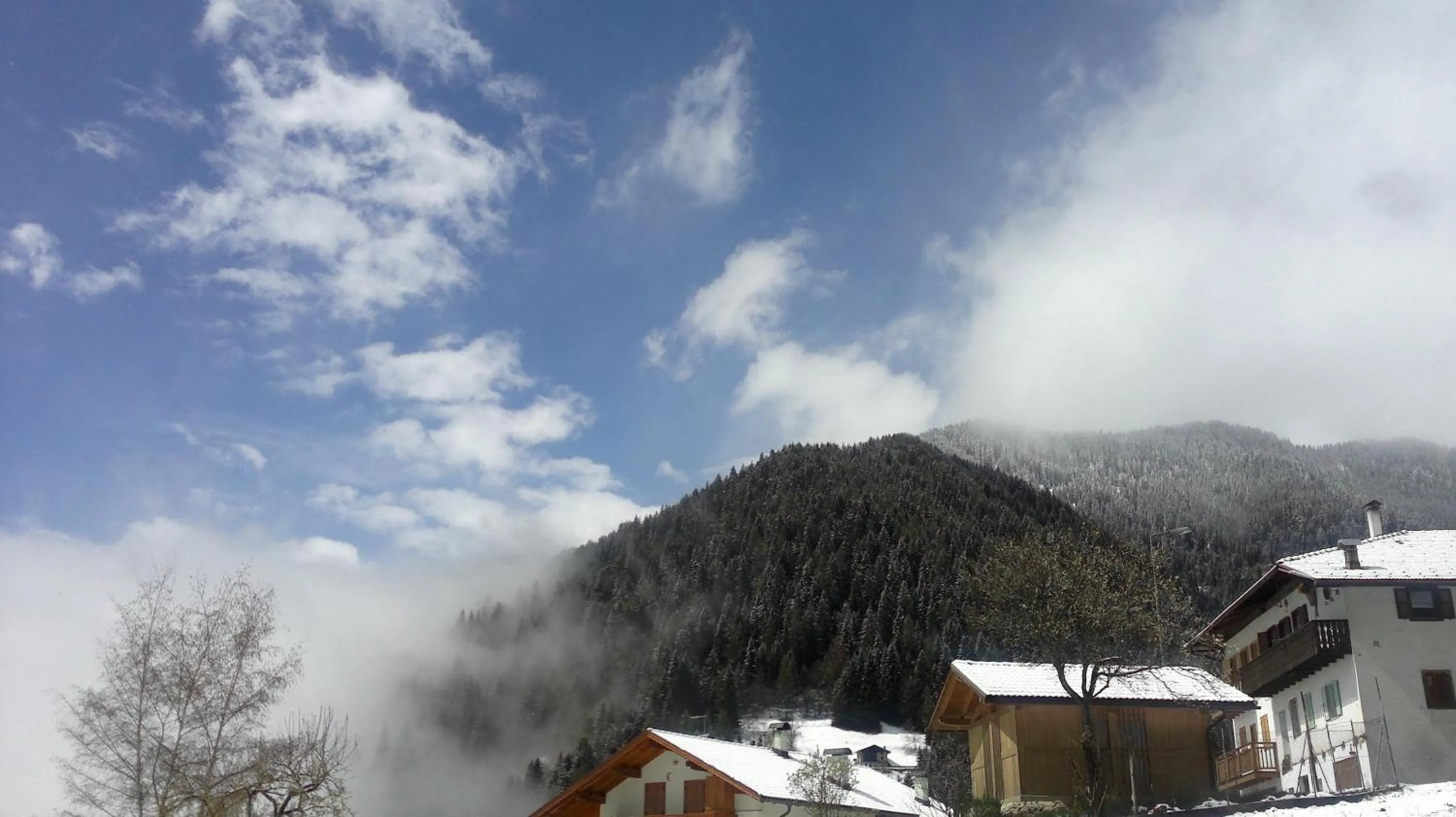 Activities in Hotel Serenella