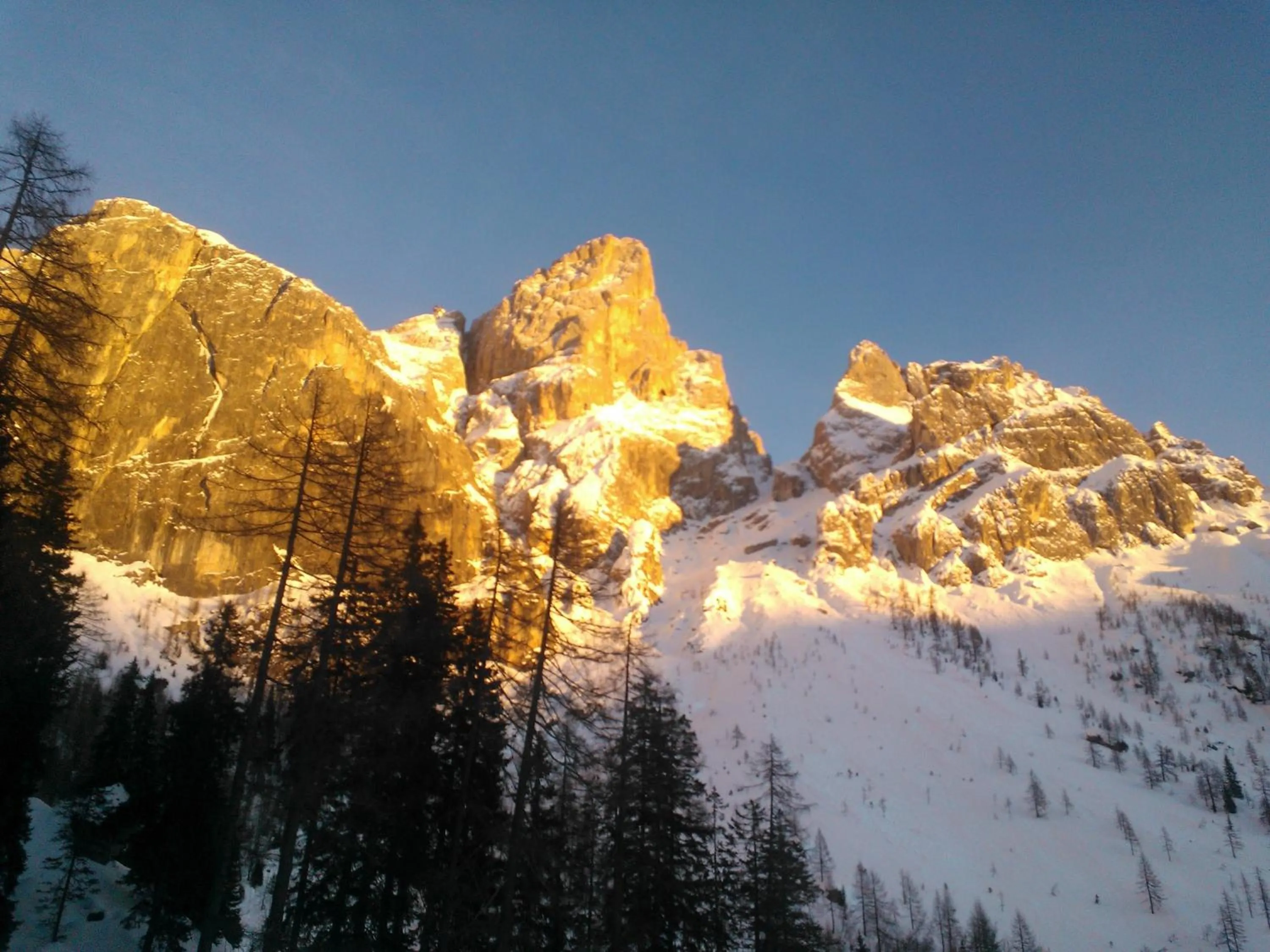 Area and facilities in Hotel Serenella