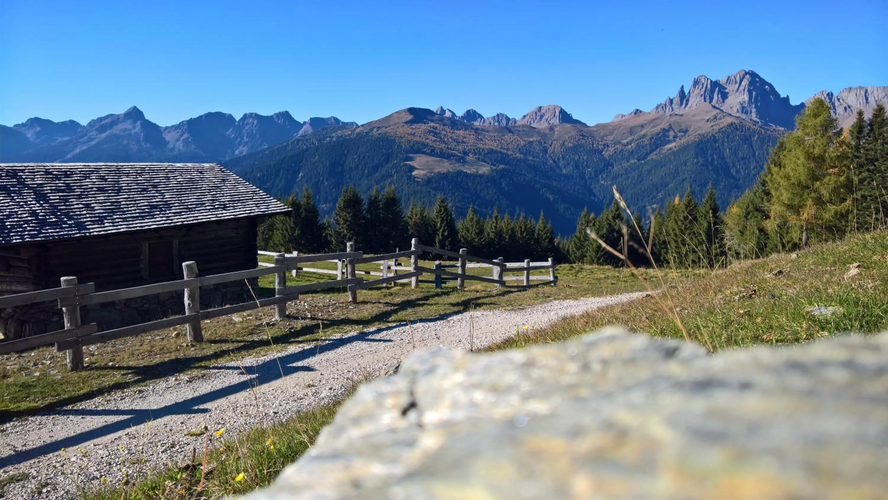 Other in Hotel Serenella