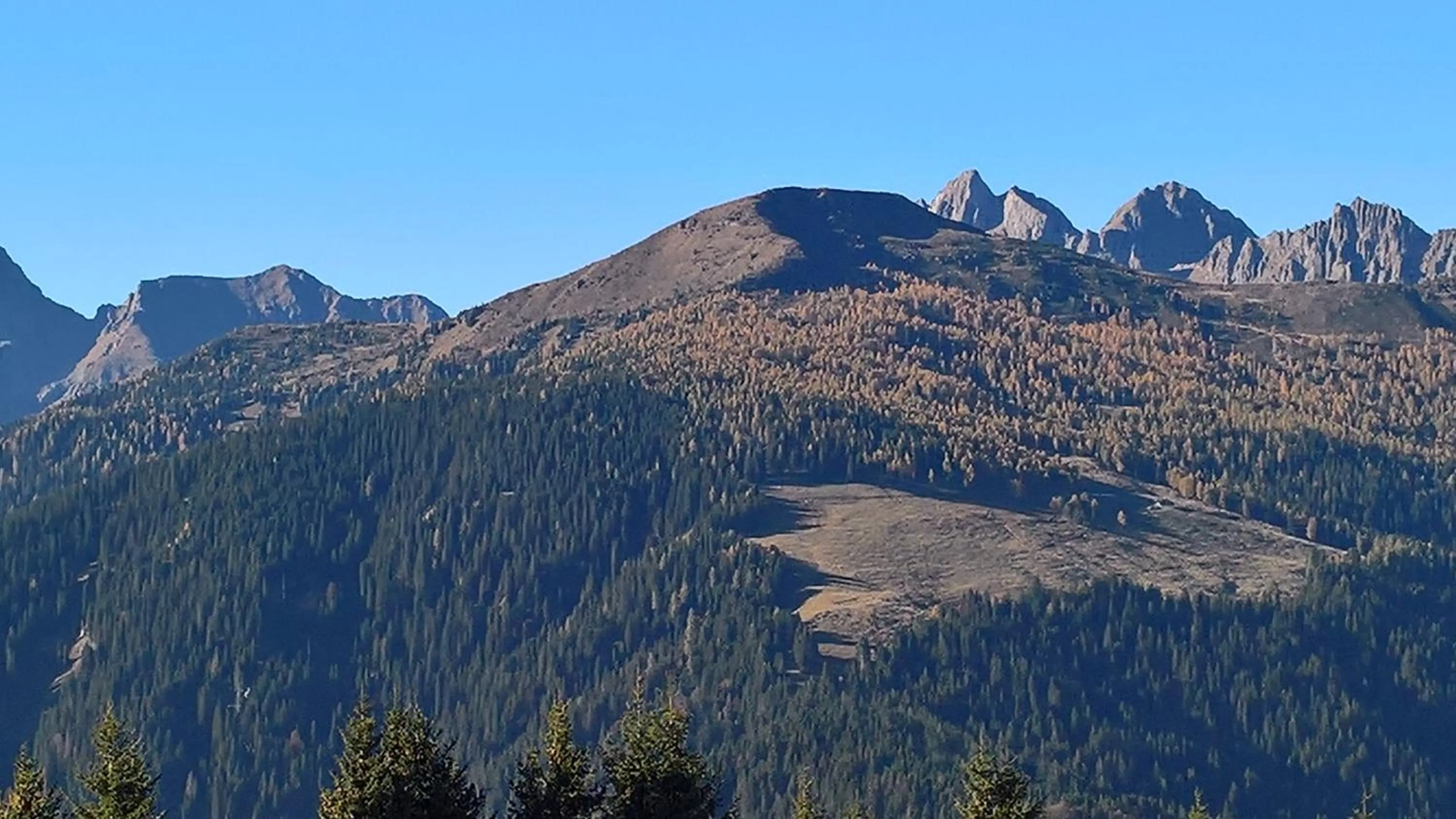 Location in Hotel Serenella