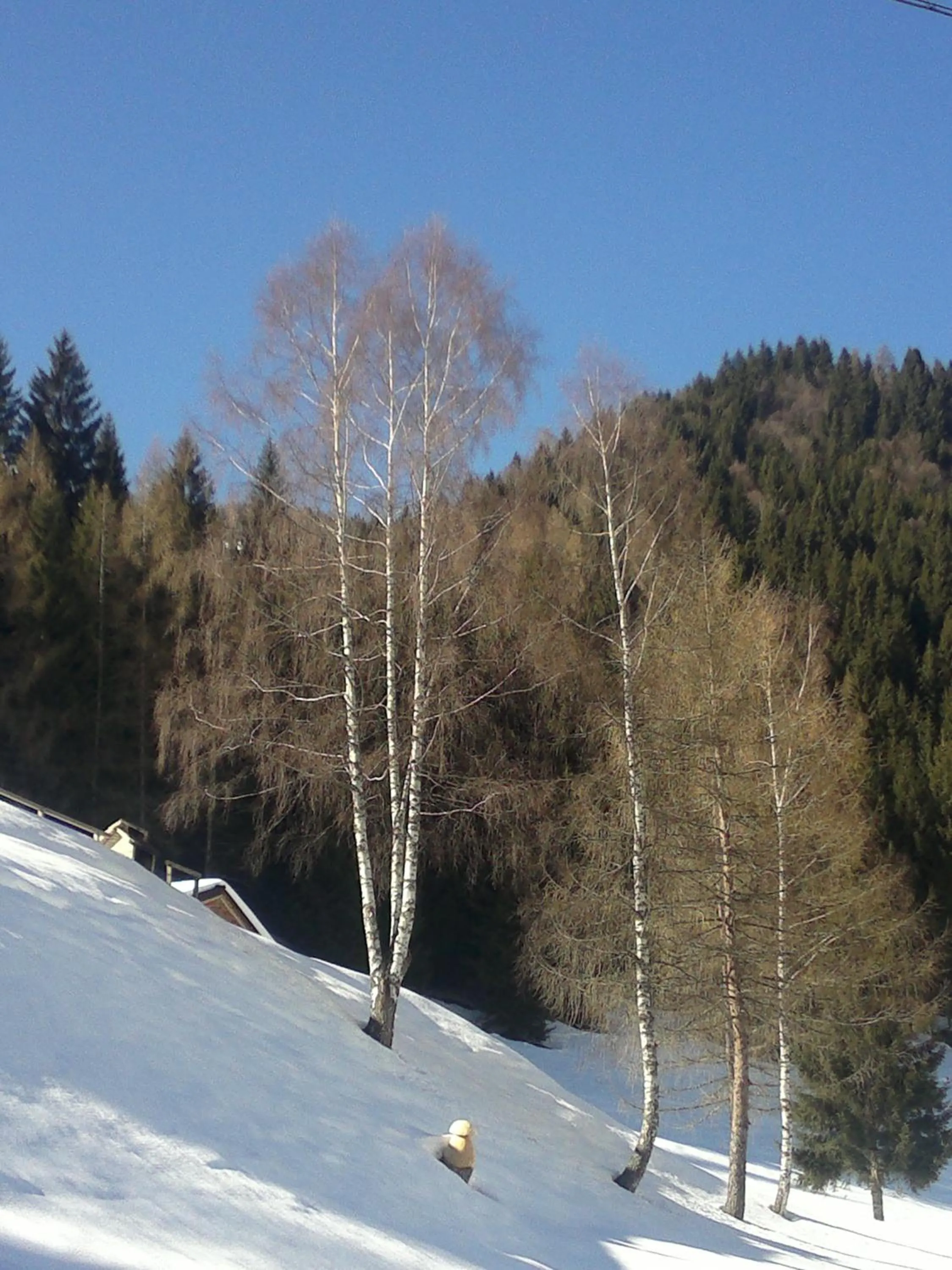 Winter in Hotel Serenella
