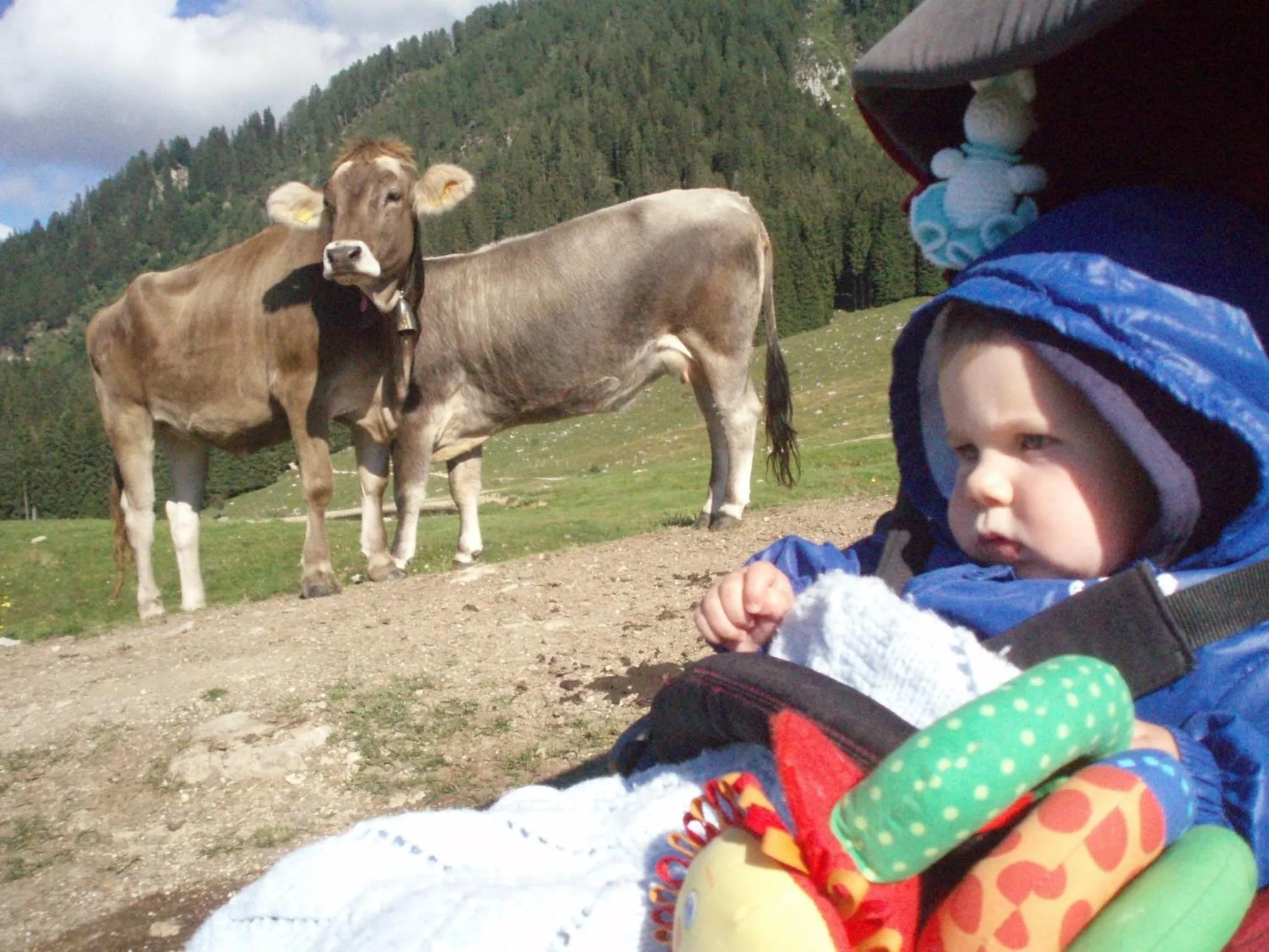Natural landscape in Hotel Serenella