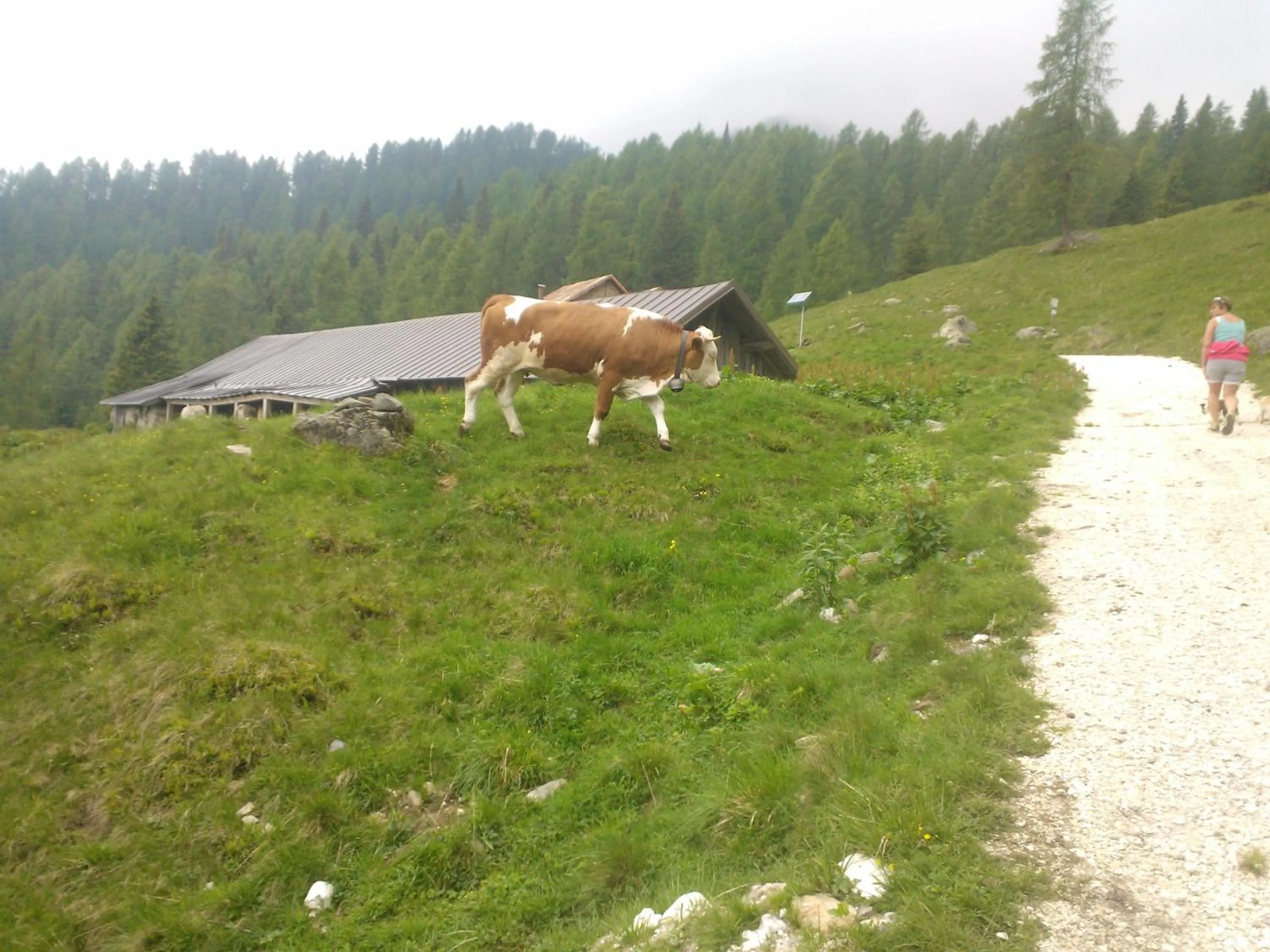 Area and facilities in Hotel Serenella