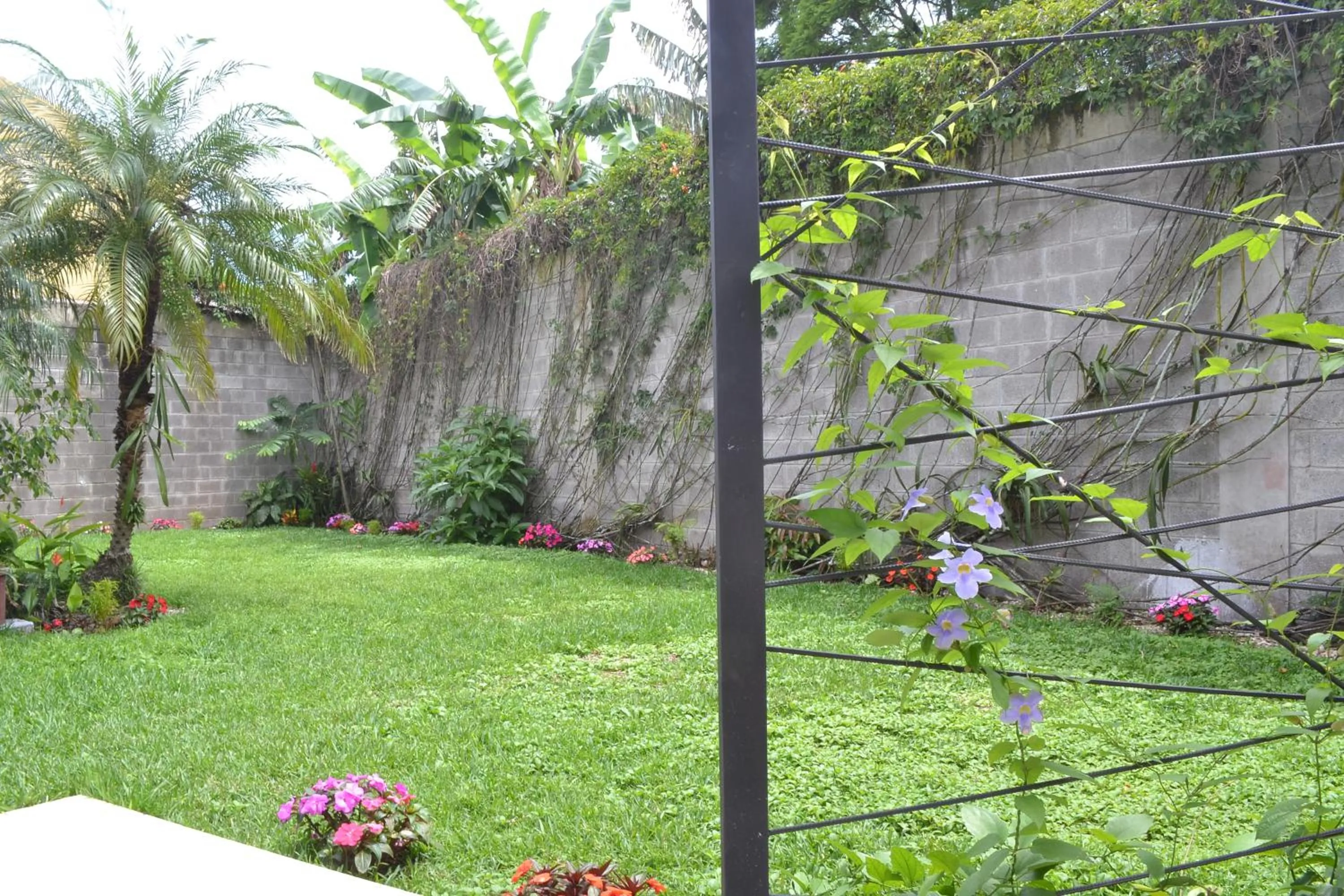 Garden in Capital Hostel de Ciudad