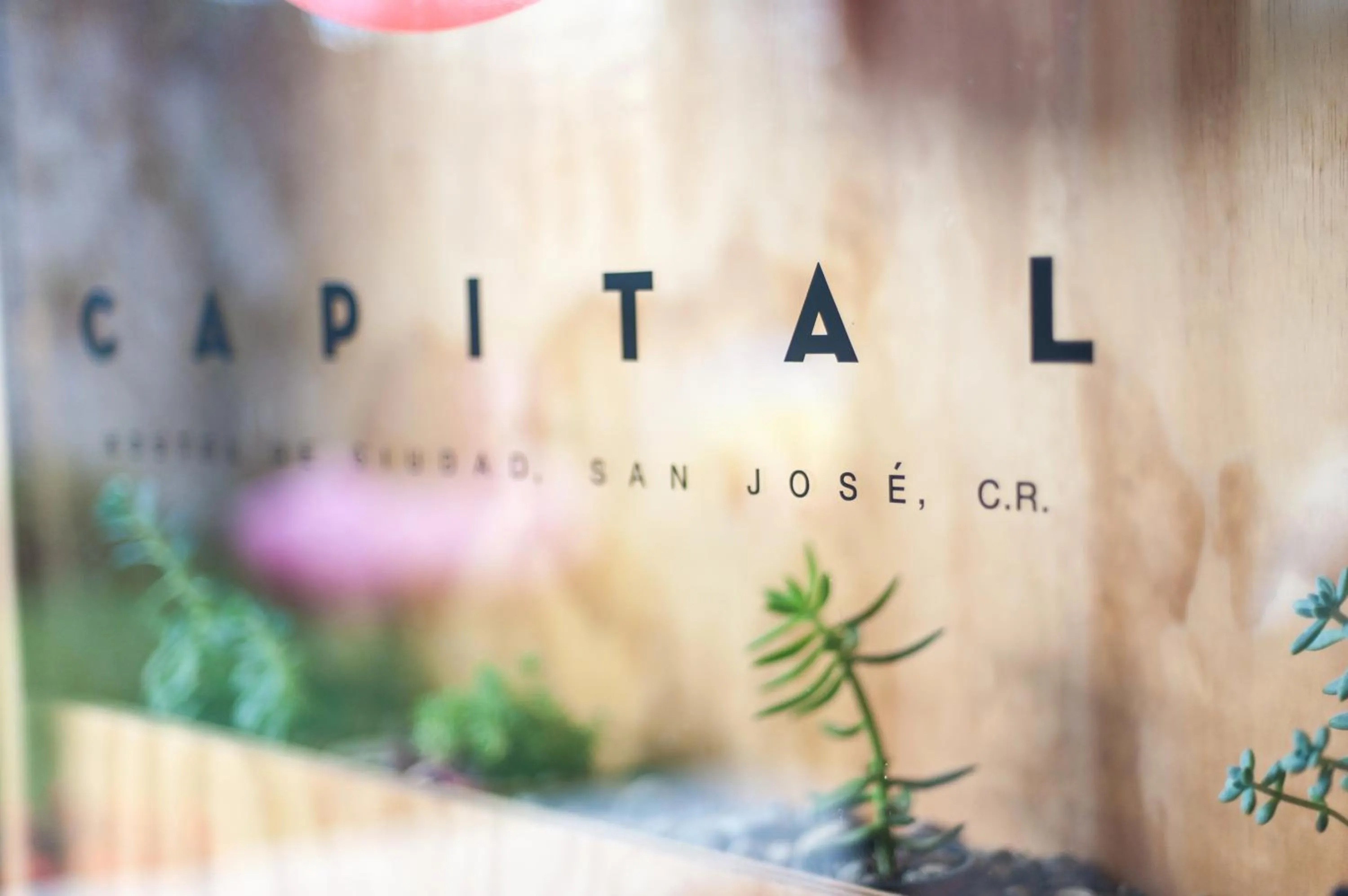 Decorative detail in Capital Hostel de Ciudad