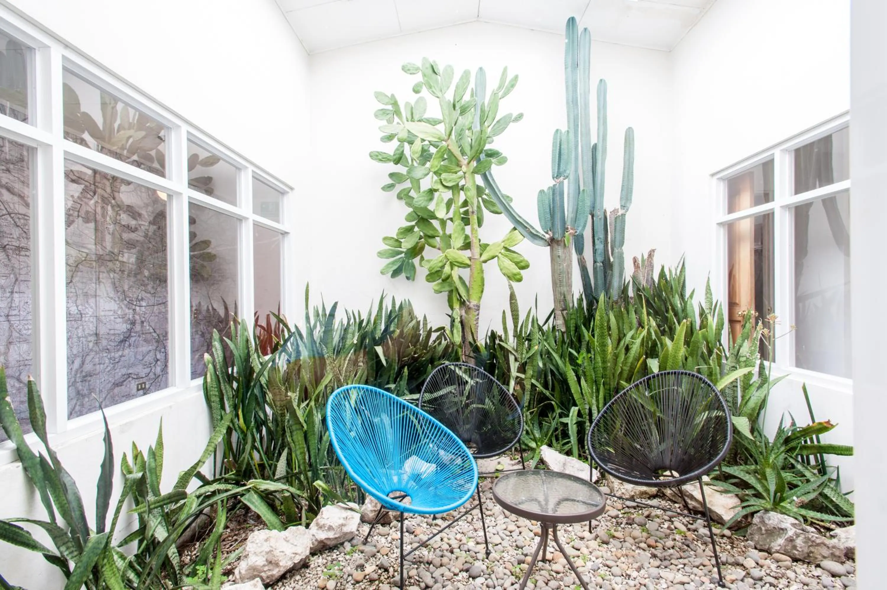 Patio in Capital Hostel de Ciudad