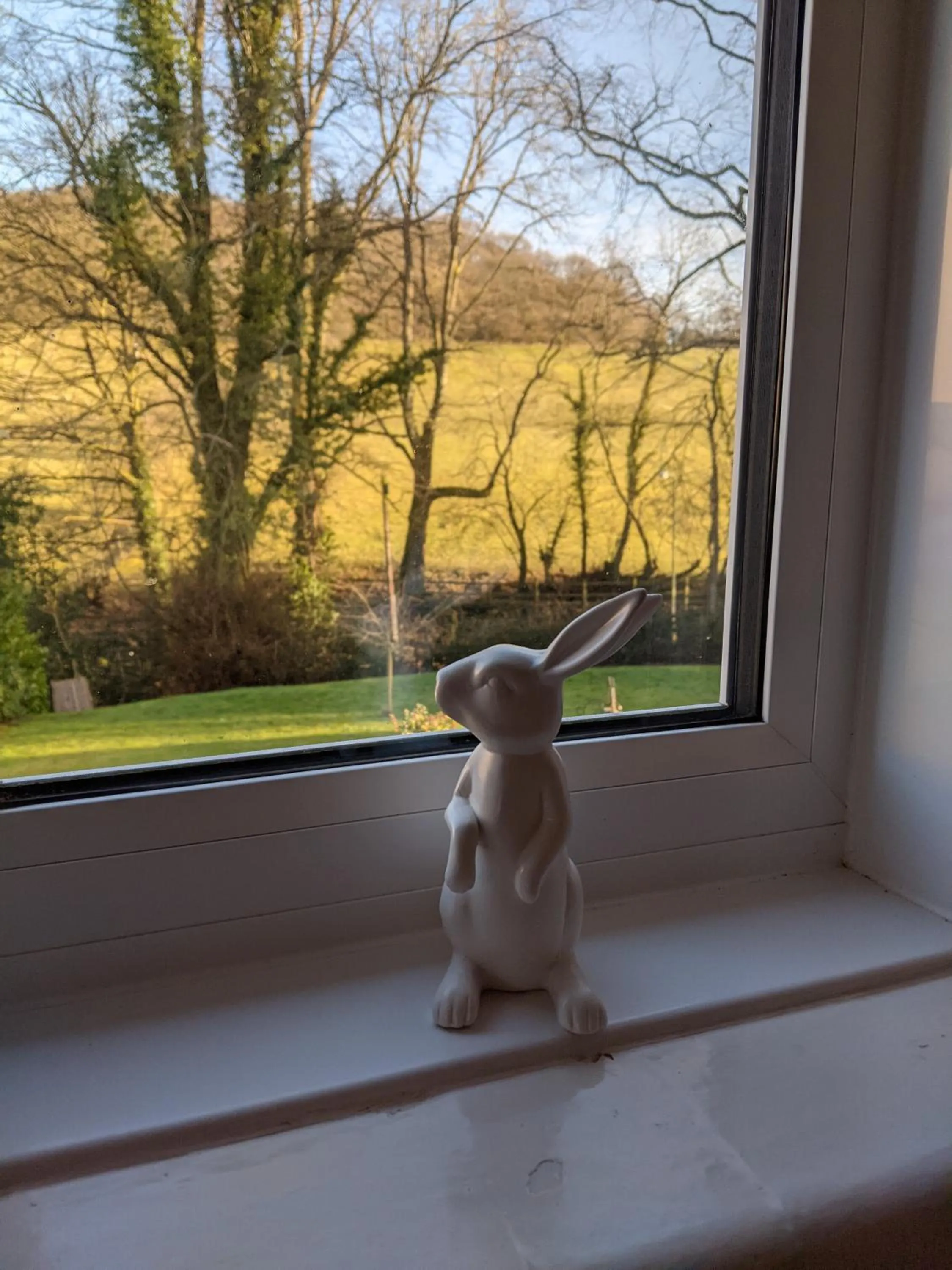 Hazler Lodge guest house