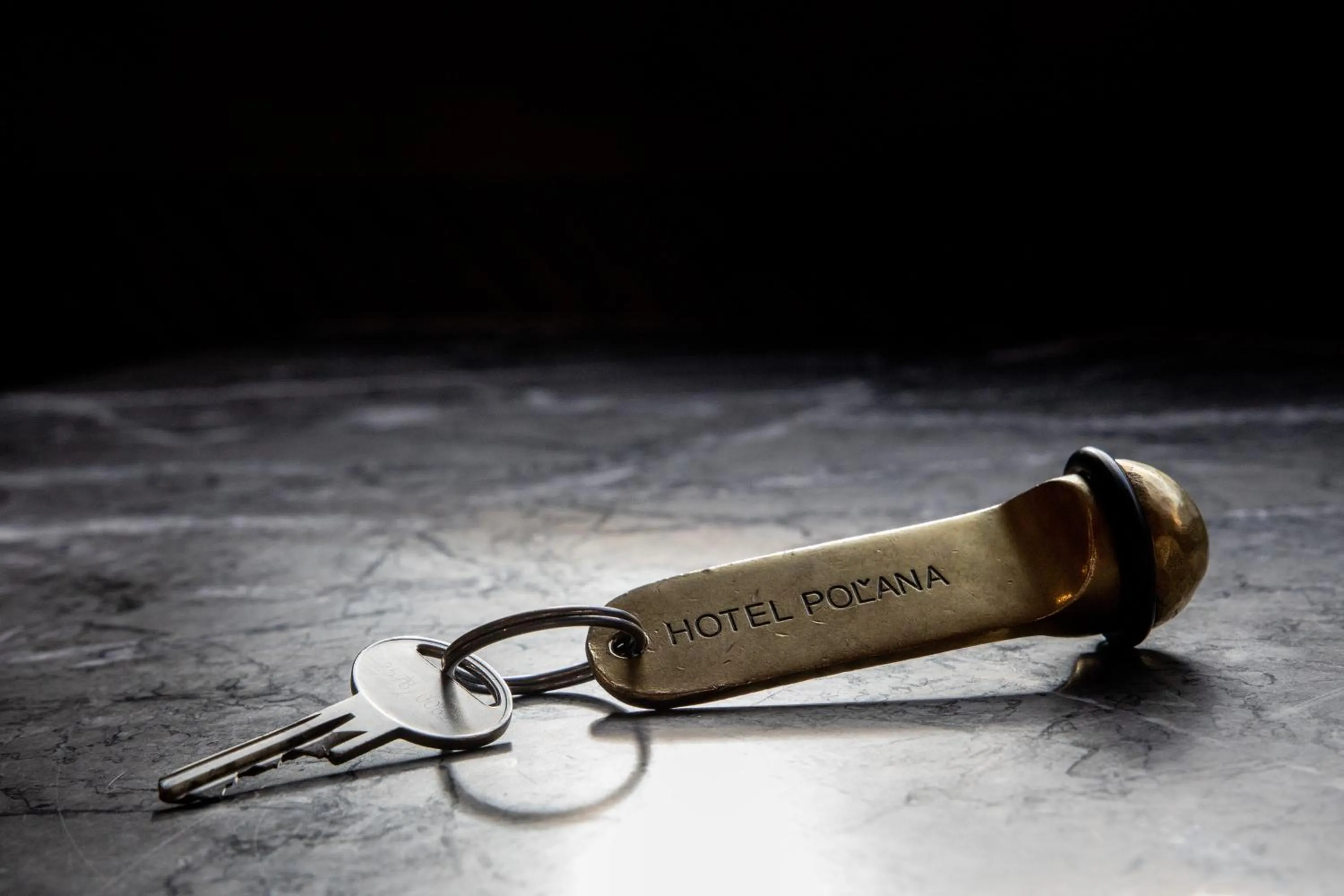 Property logo or sign in Hotel Polana