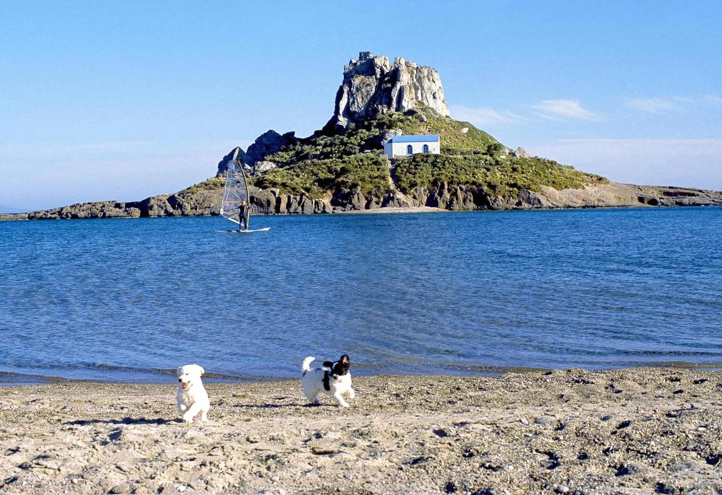 Natural landscape in Cosmopolitan Hotel