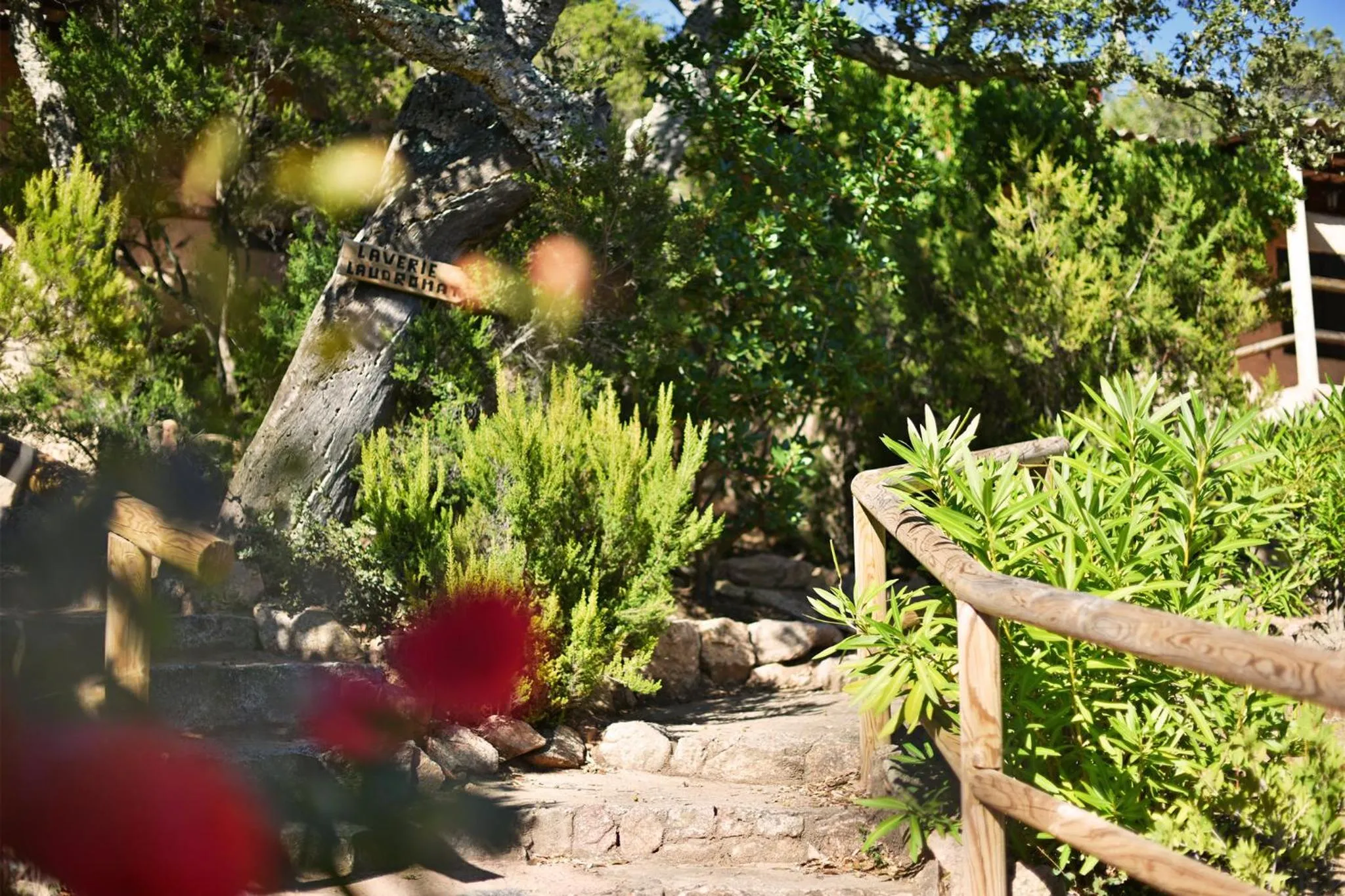 Garden in Bungalows Du Maquis