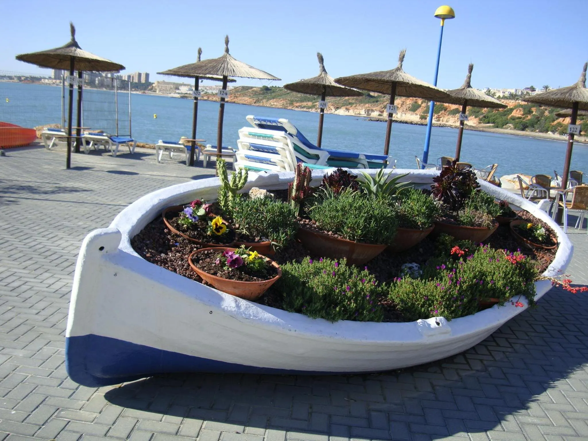 Area and facilities in Aparthotel Diamant Blue