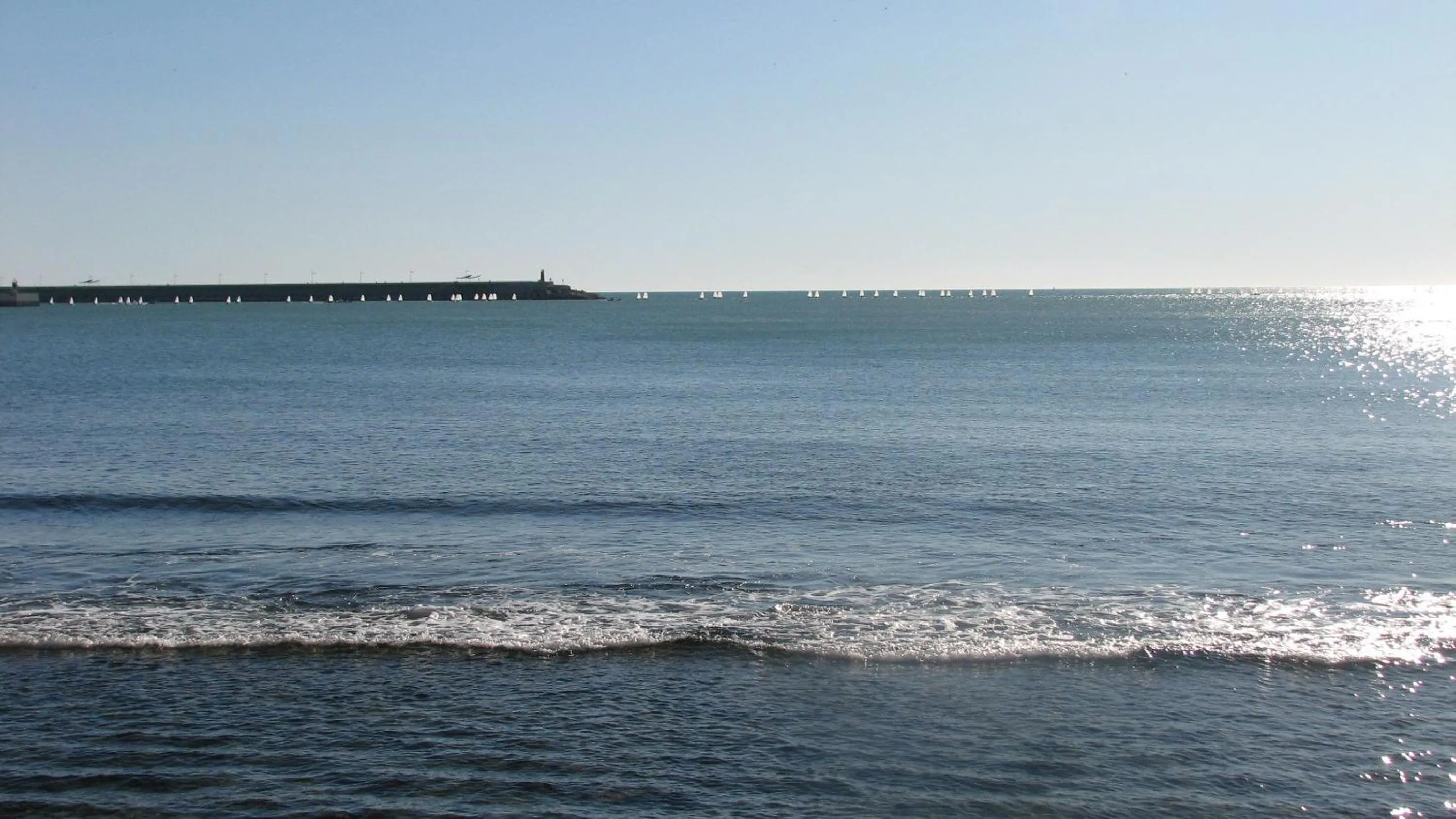 Area and facilities in Aparthotel Diamant Blue