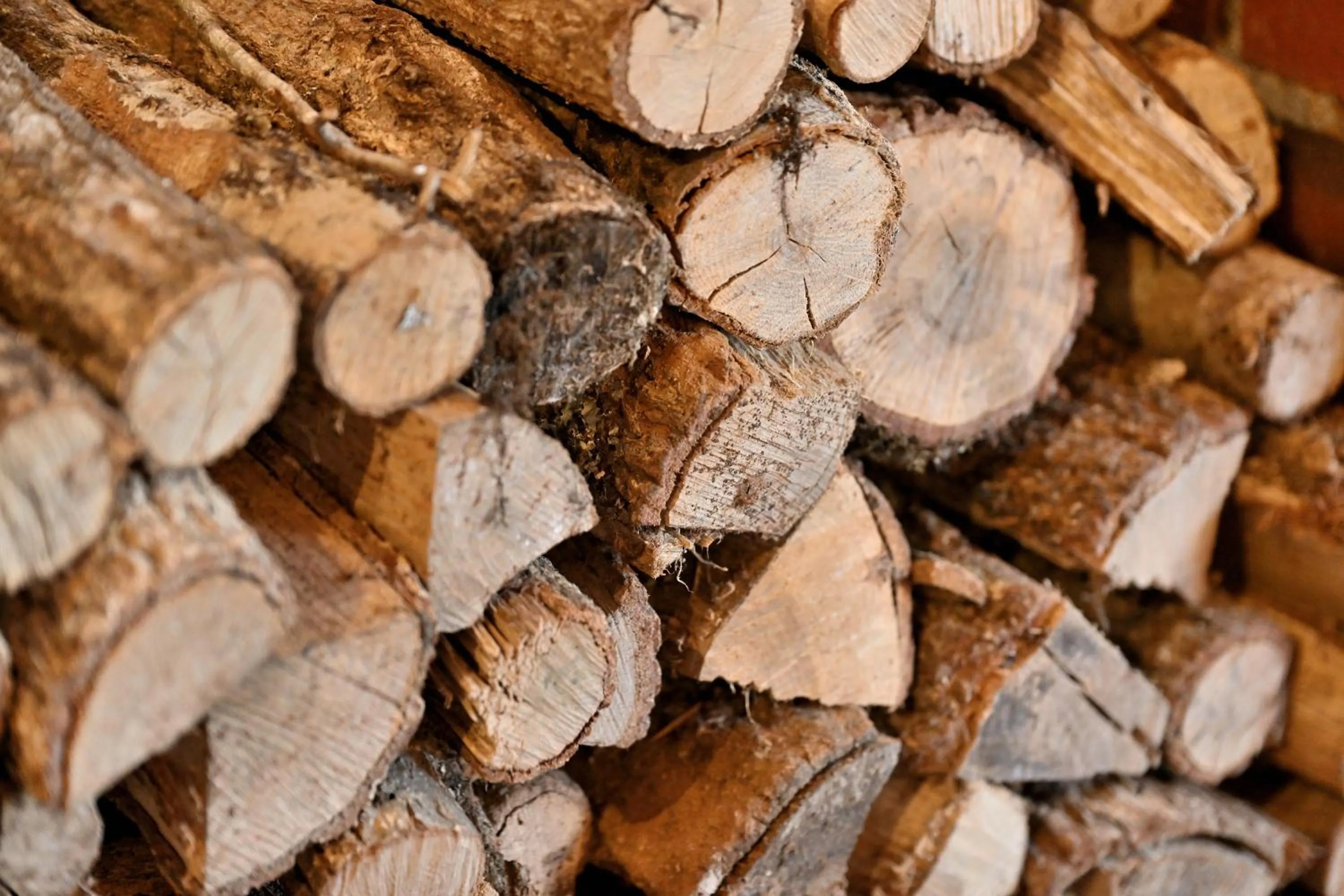 Other in Shikinosato Hanamura