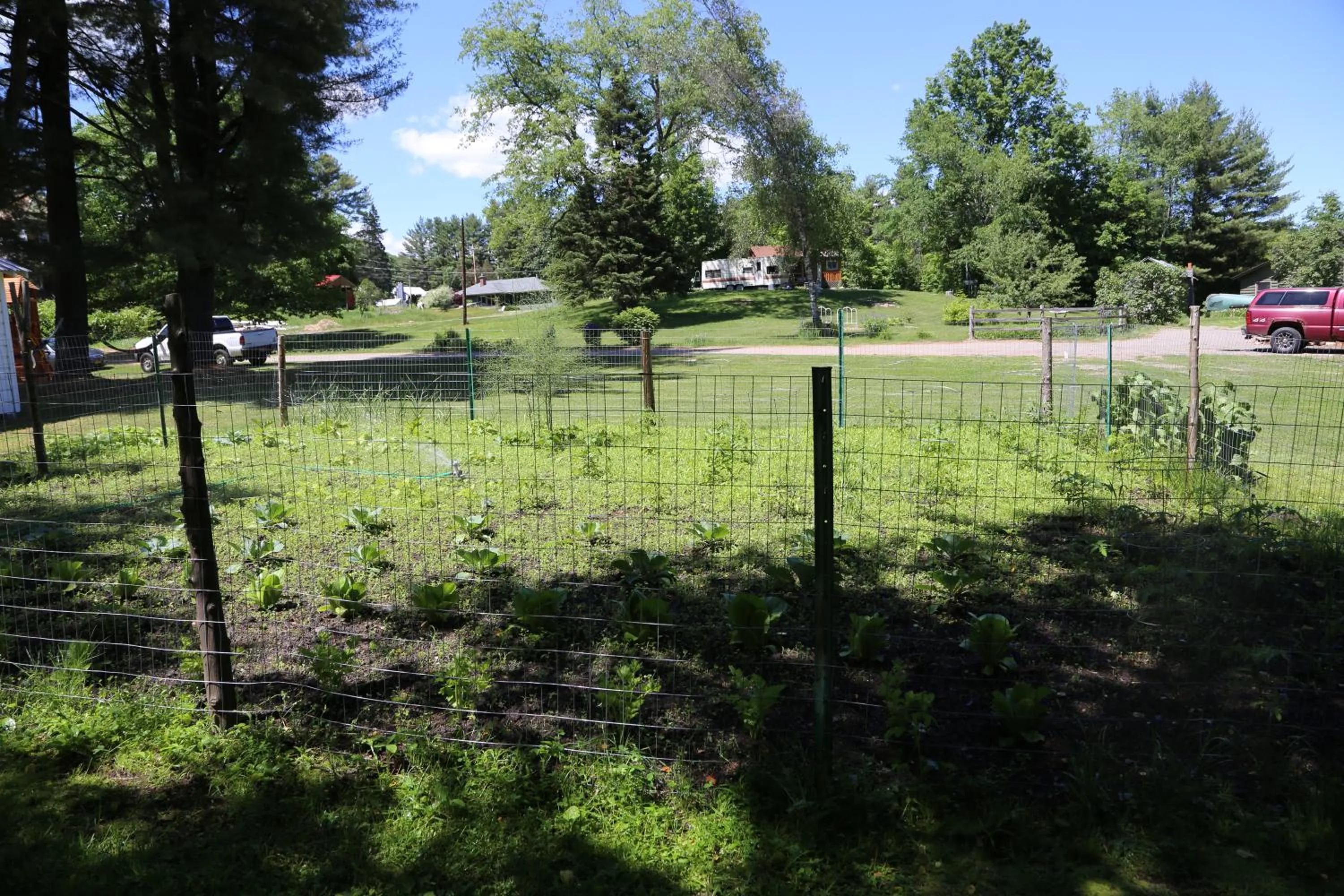 View (from property/room) in Rowe's Adirondack Cabins of Schroon Lake
