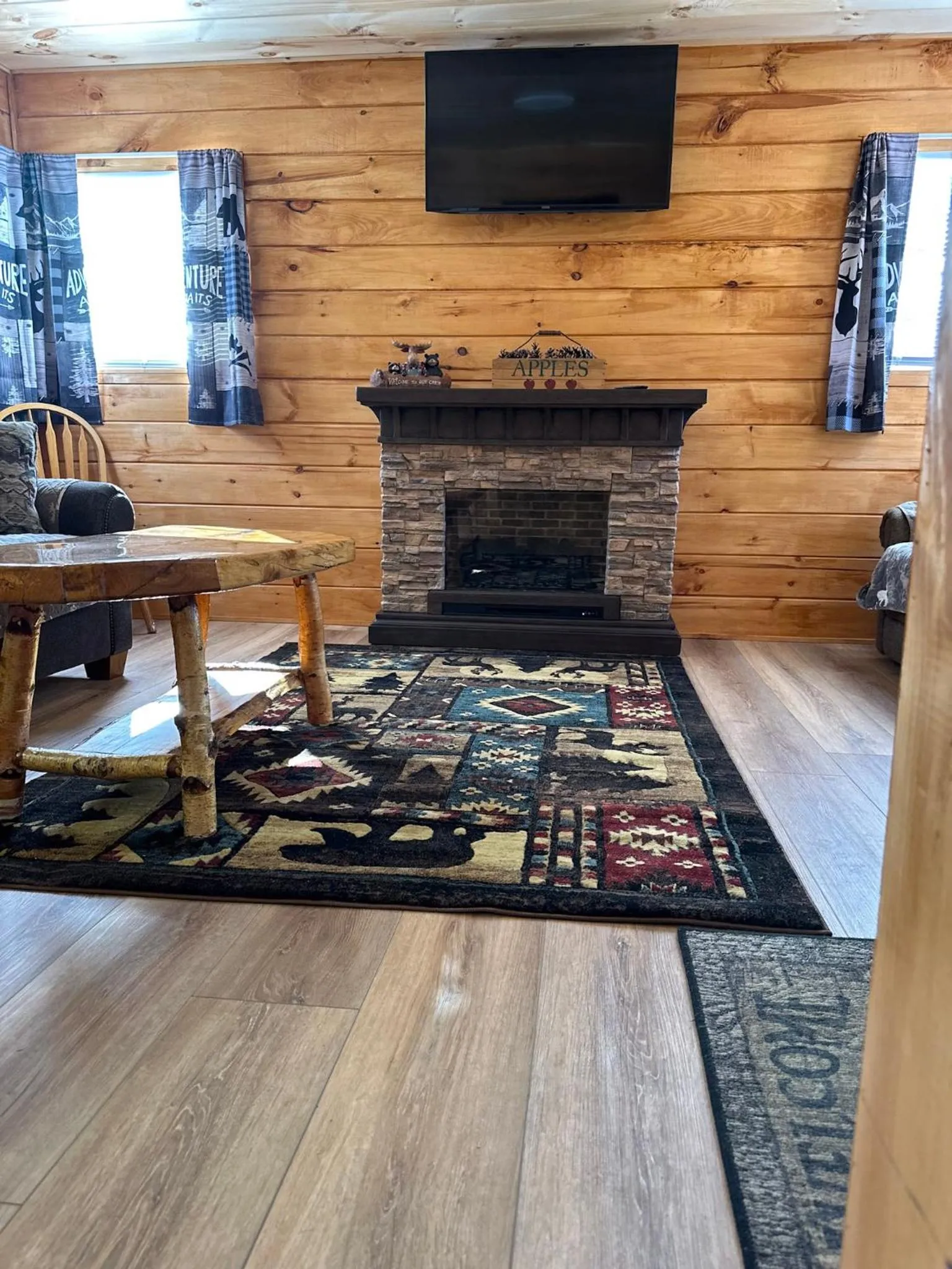 TV and multimedia in Rowe's Adirondack Cabins of Schroon Lake