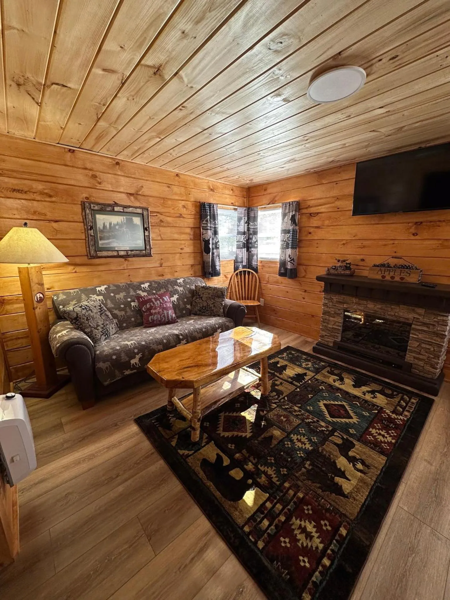 TV and multimedia in Rowe's Adirondack Cabins of Schroon Lake