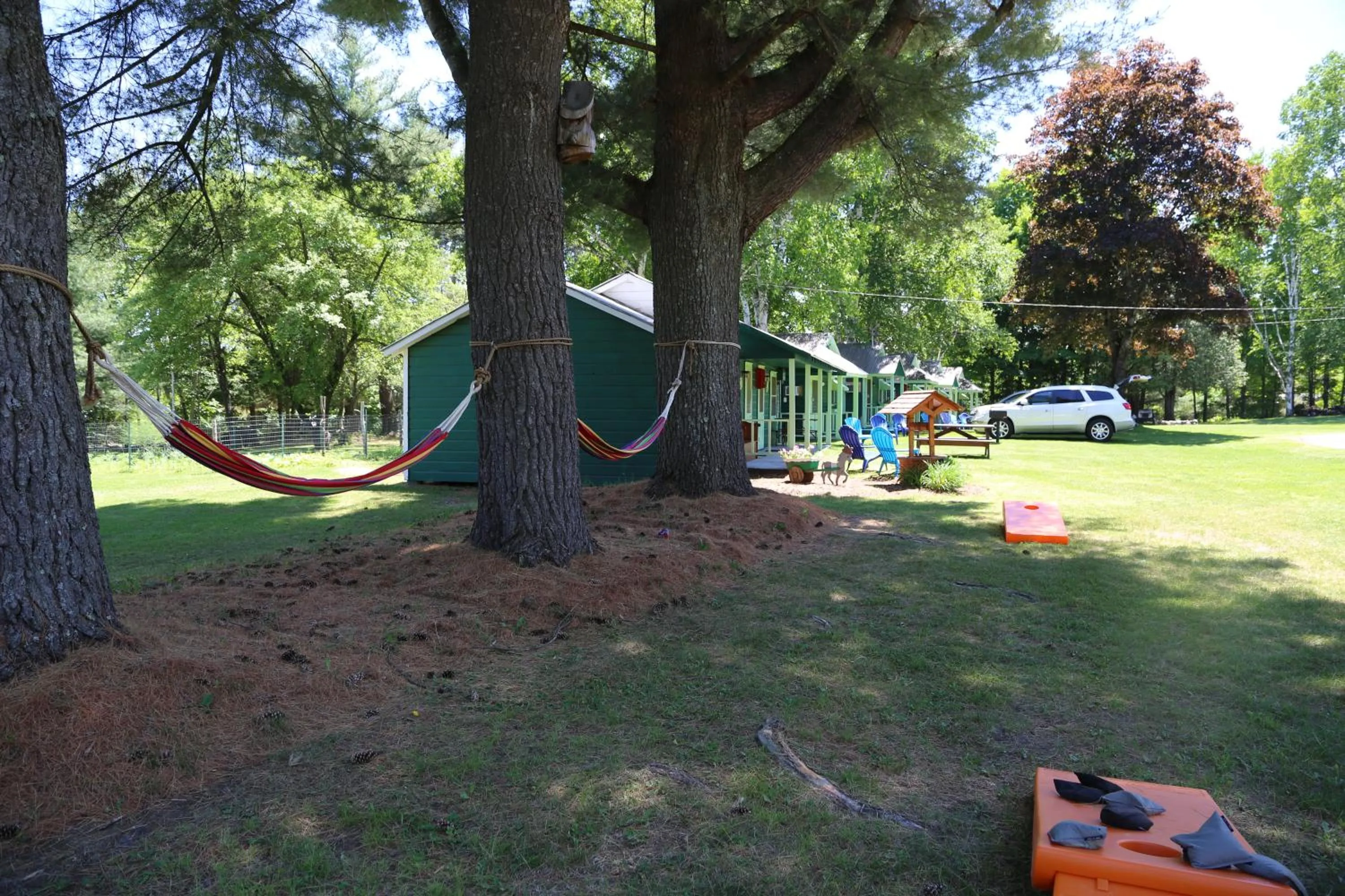 View (from property/room) in Rowe's Adirondack Cabins of Schroon Lake
