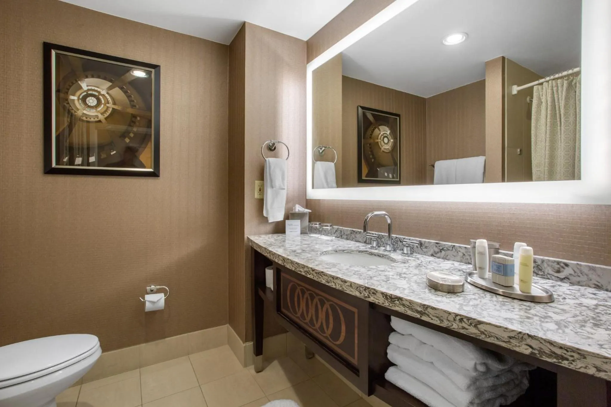 Bathroom in Omni Providence