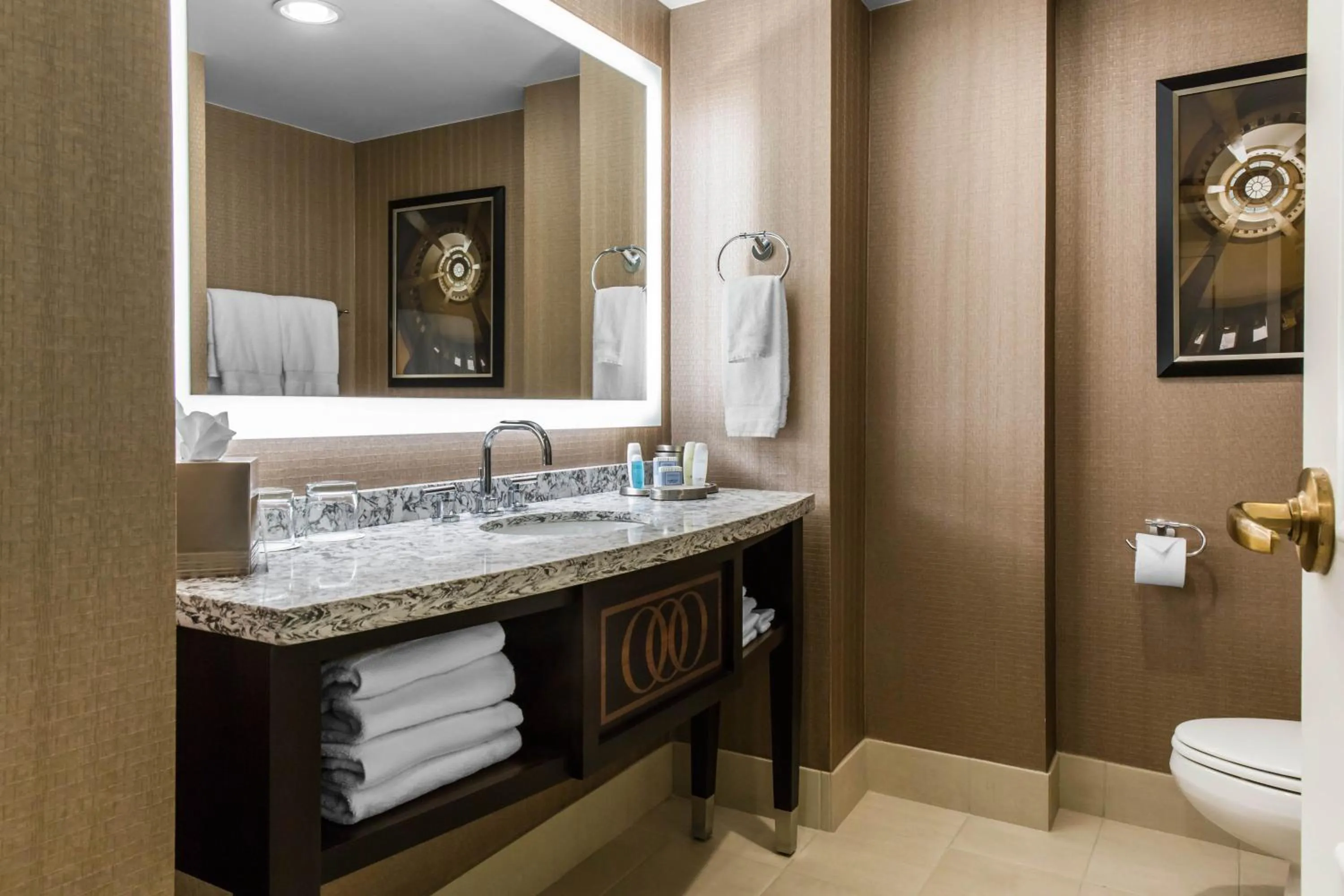 Bathroom in Omni Providence