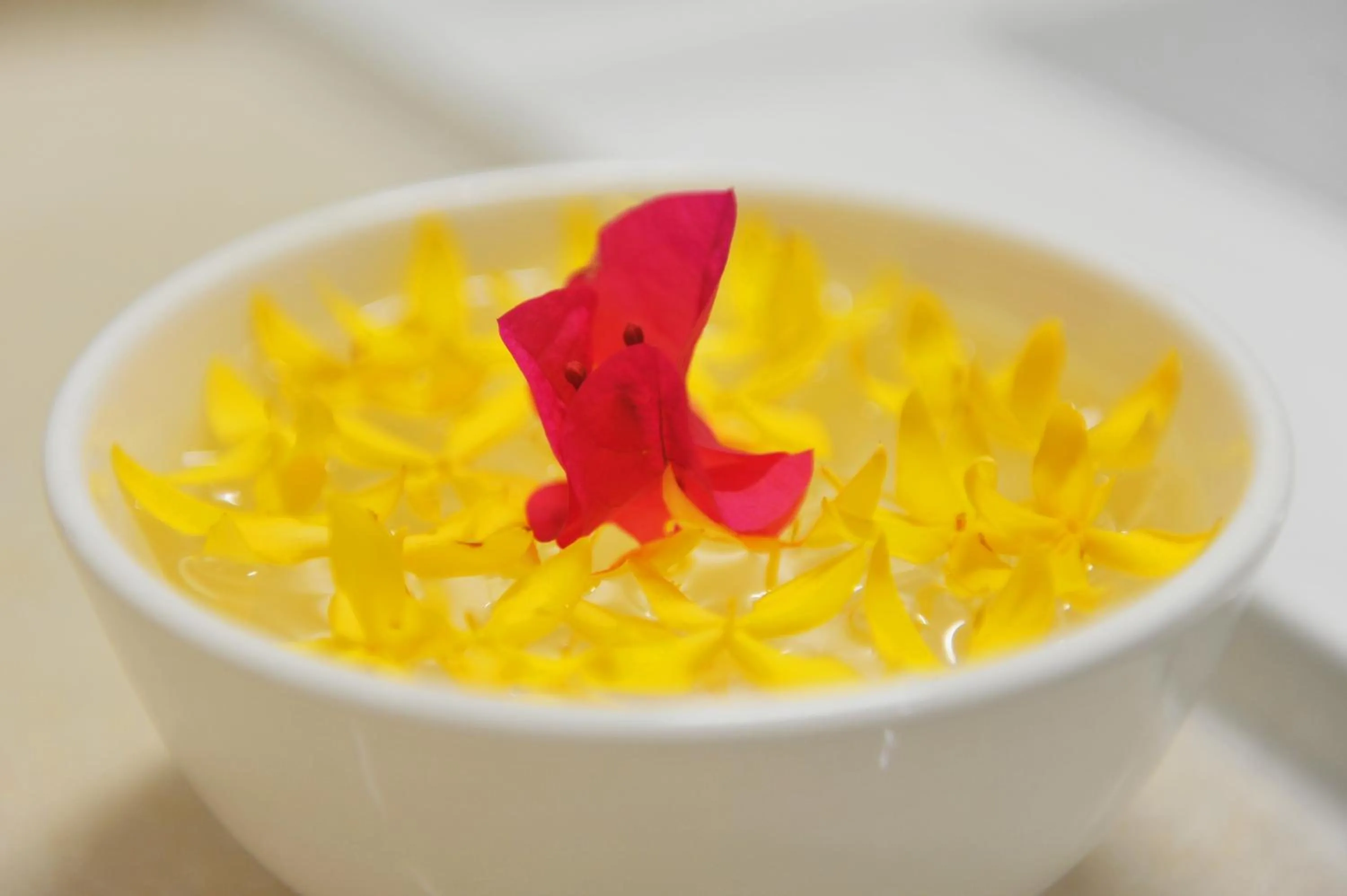 Turquoise Residence by UI