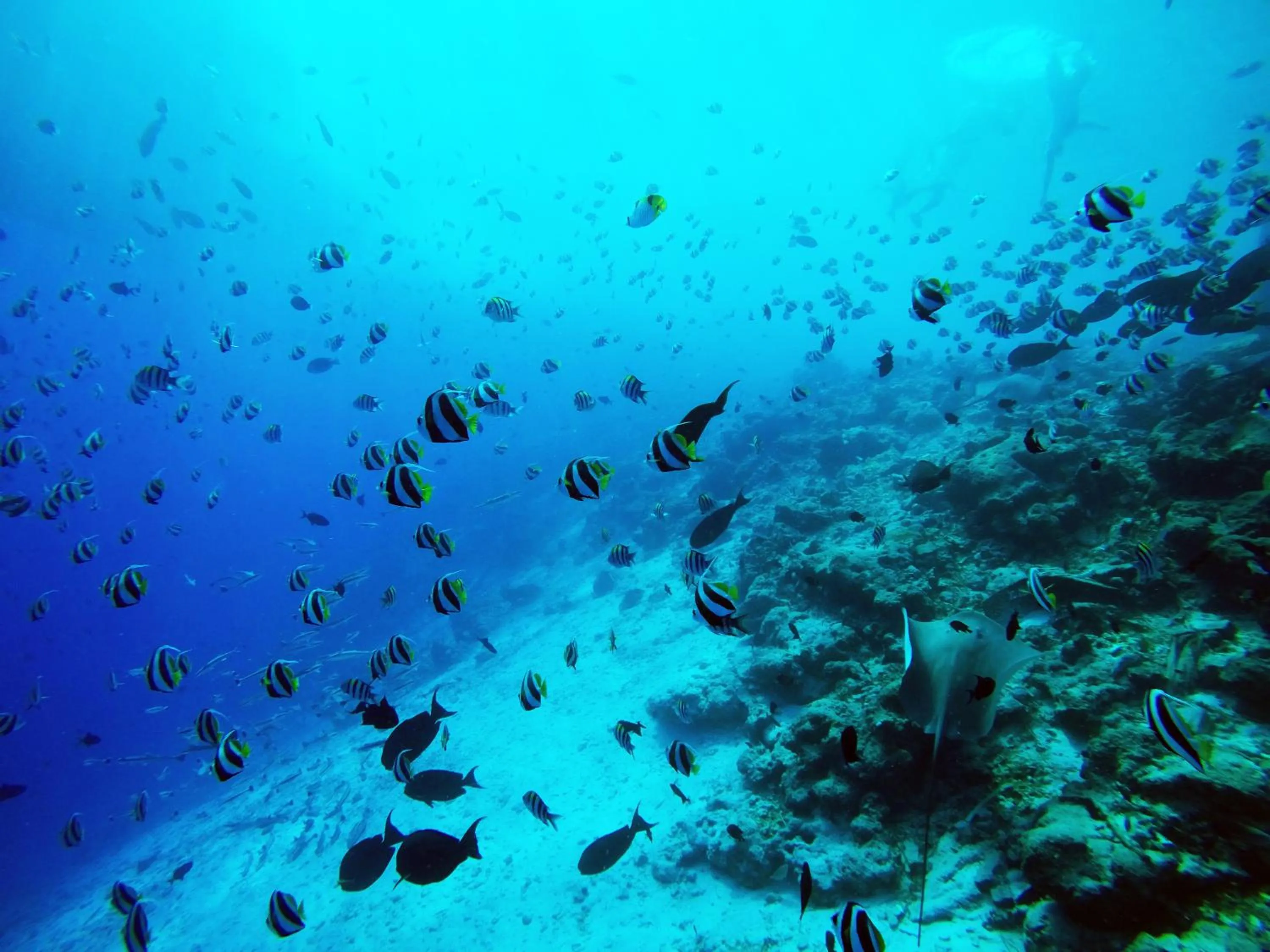 Turquoise Residence by UI